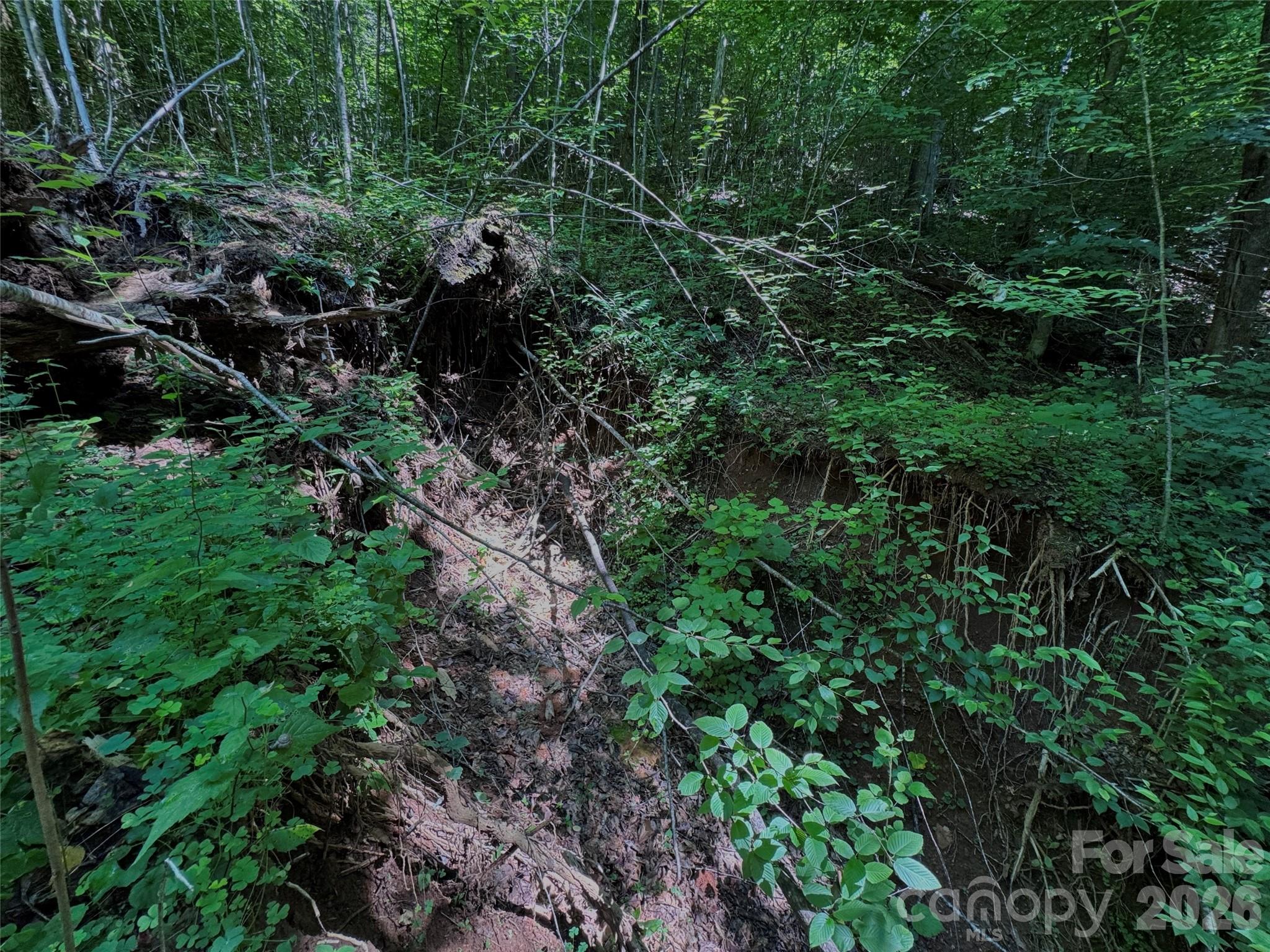 454 Forest Brook Road Property Photo 21