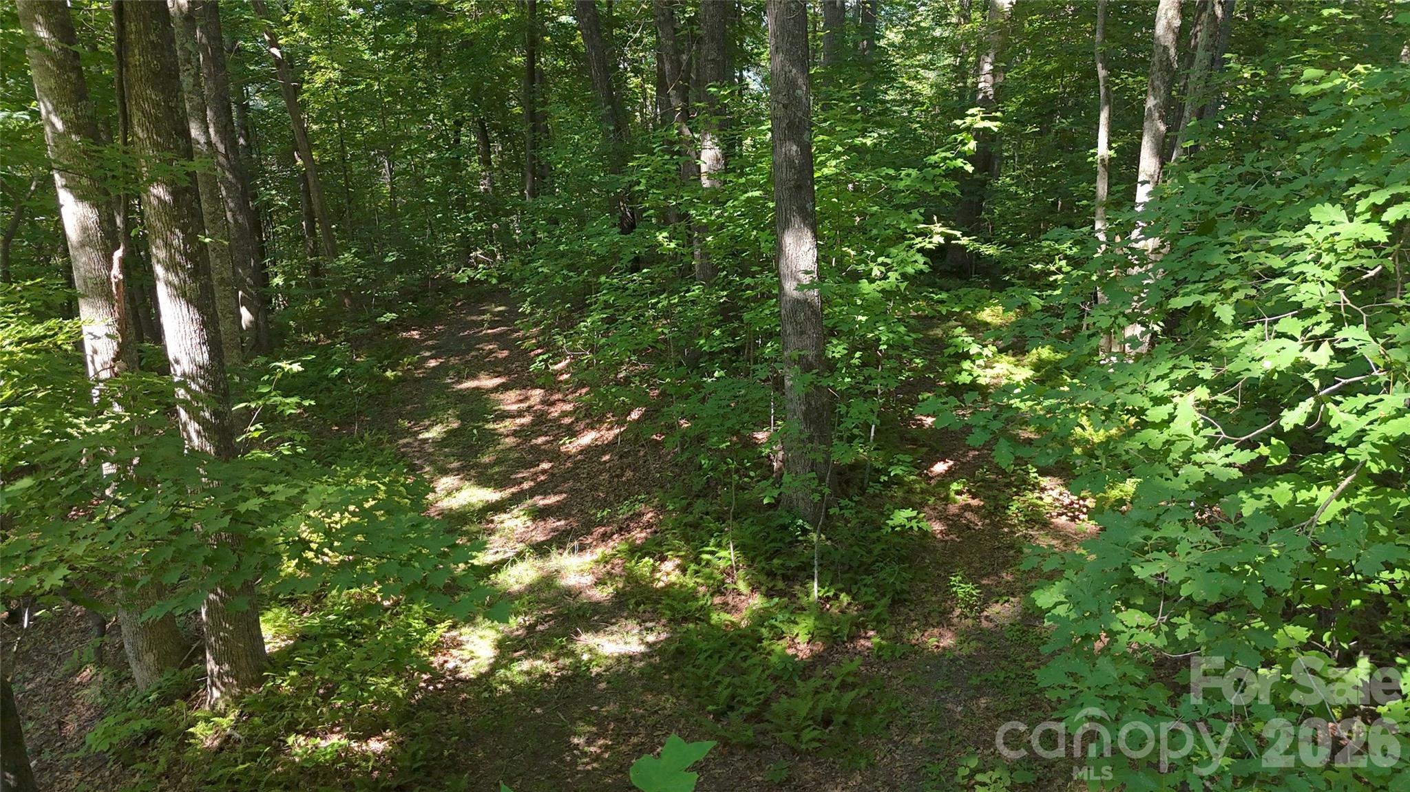 454 Forest Brook Road Property Photo 22