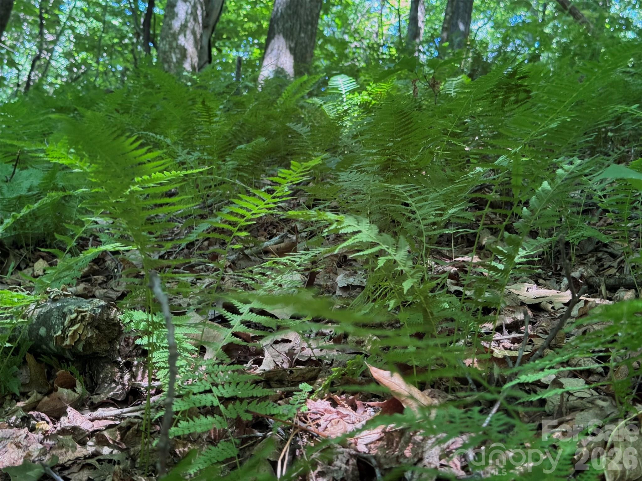454 Forest Brook Road Property Photo 24