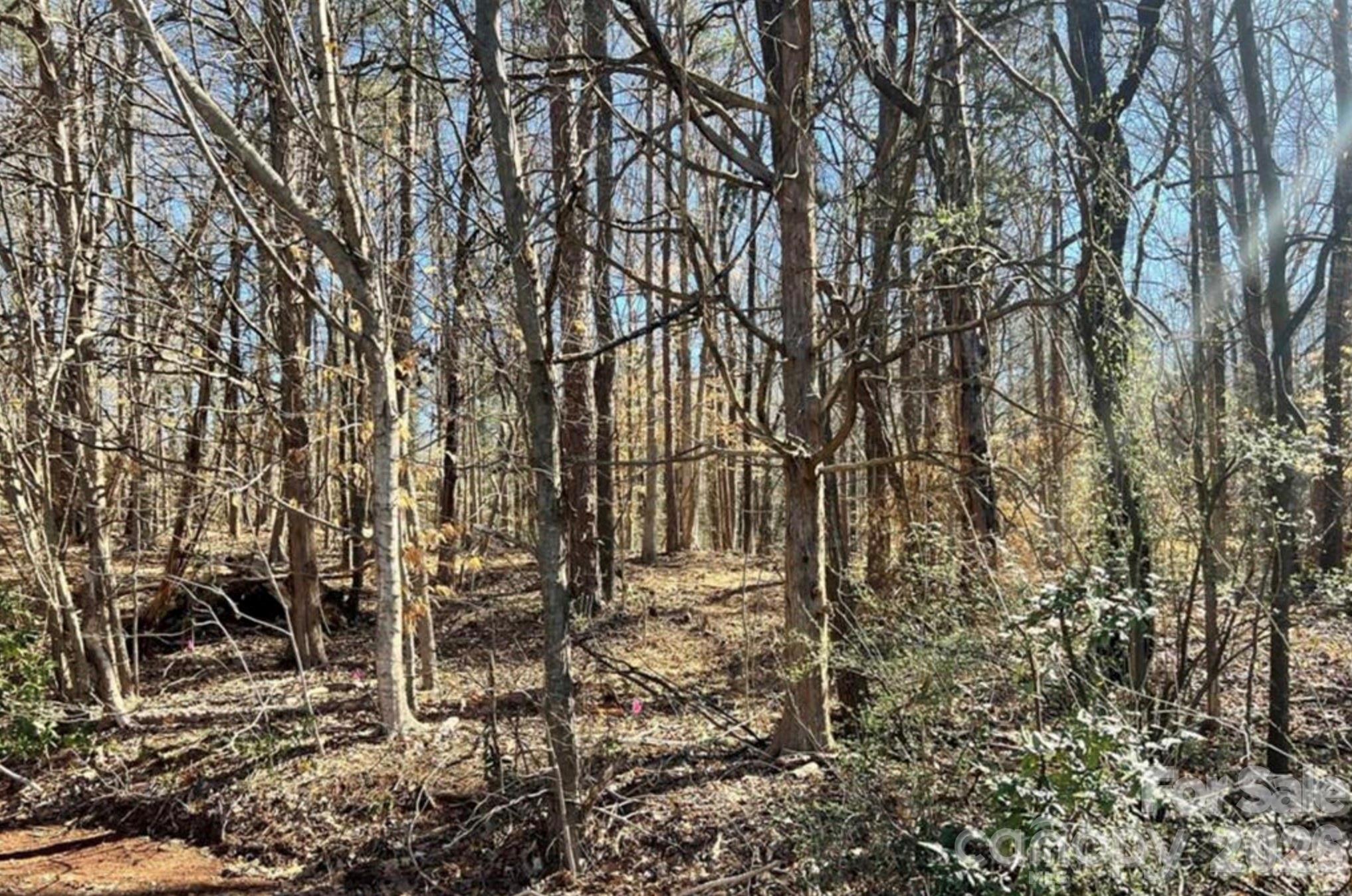 03 Lurecliff Place Property Photo 11