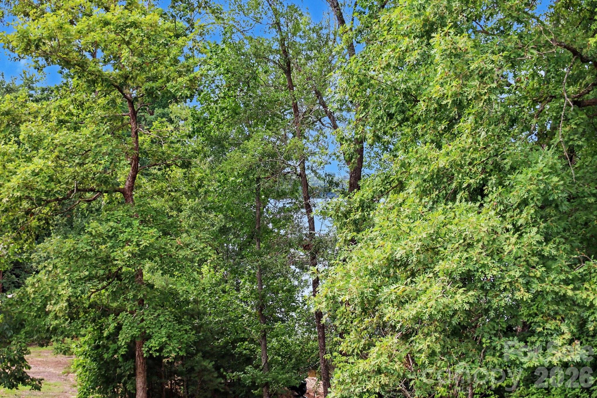 24562 Blue Heron Circle Property Photo 31