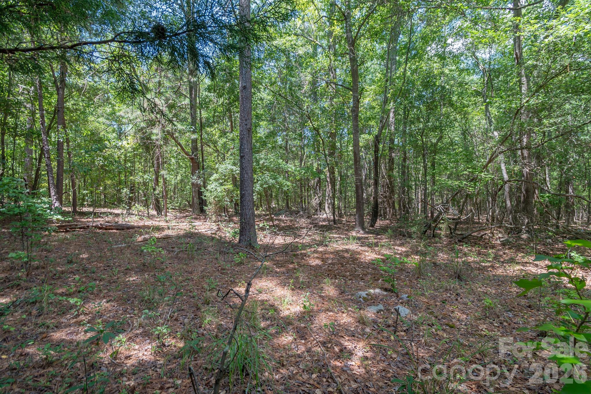 72 Thurman Garage Lane Property Photo 9