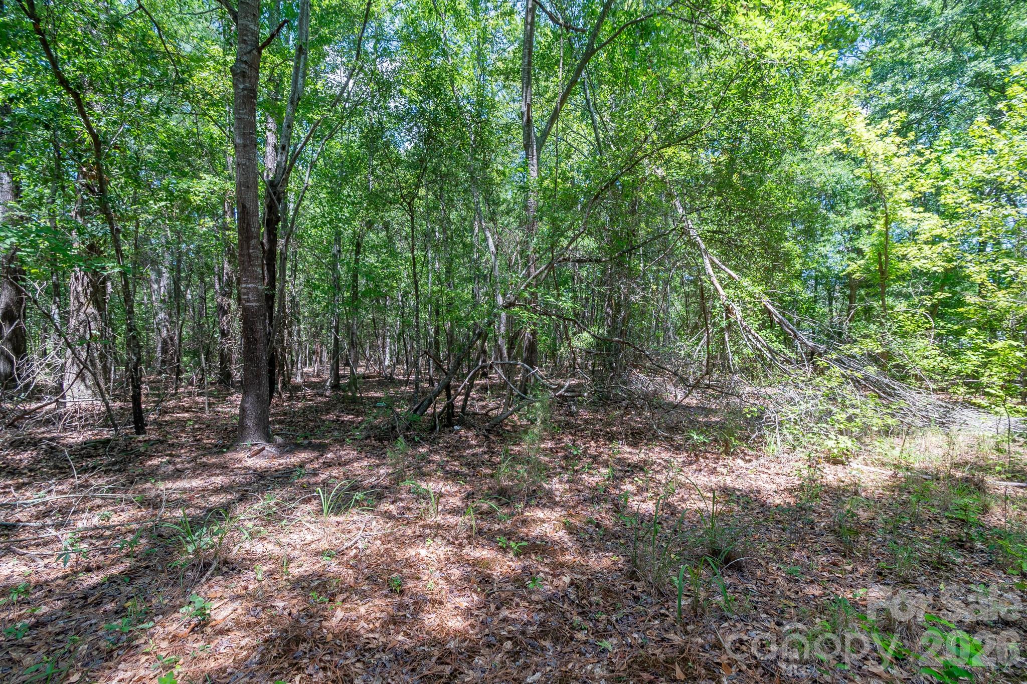 72 Thurman Garage Lane Property Photo 10