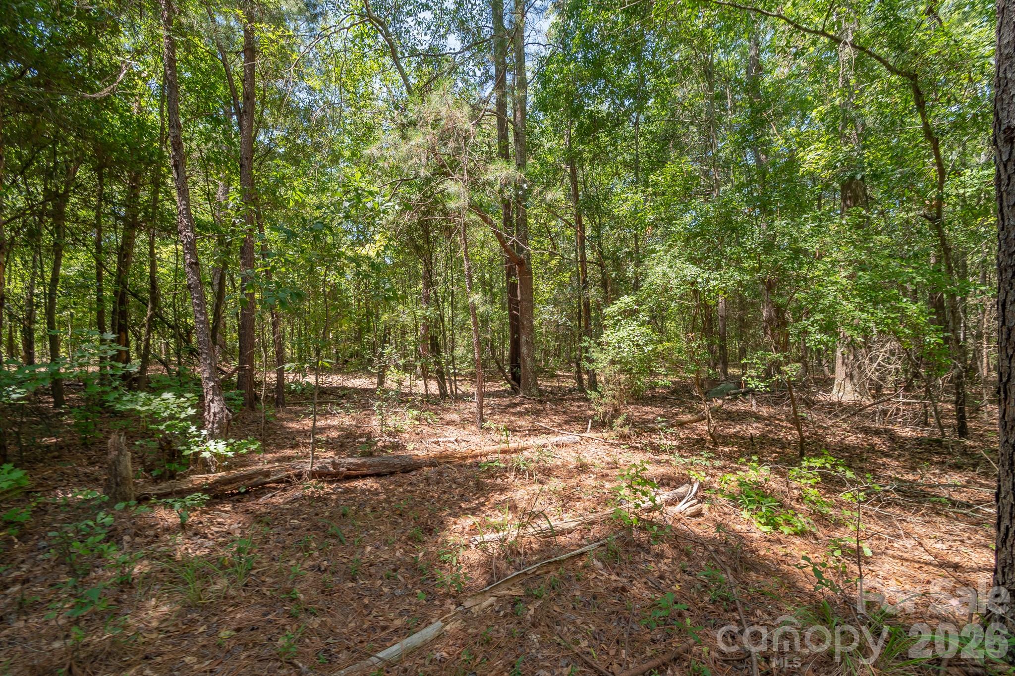 72 Thurman Garage Lane Property Photo 11