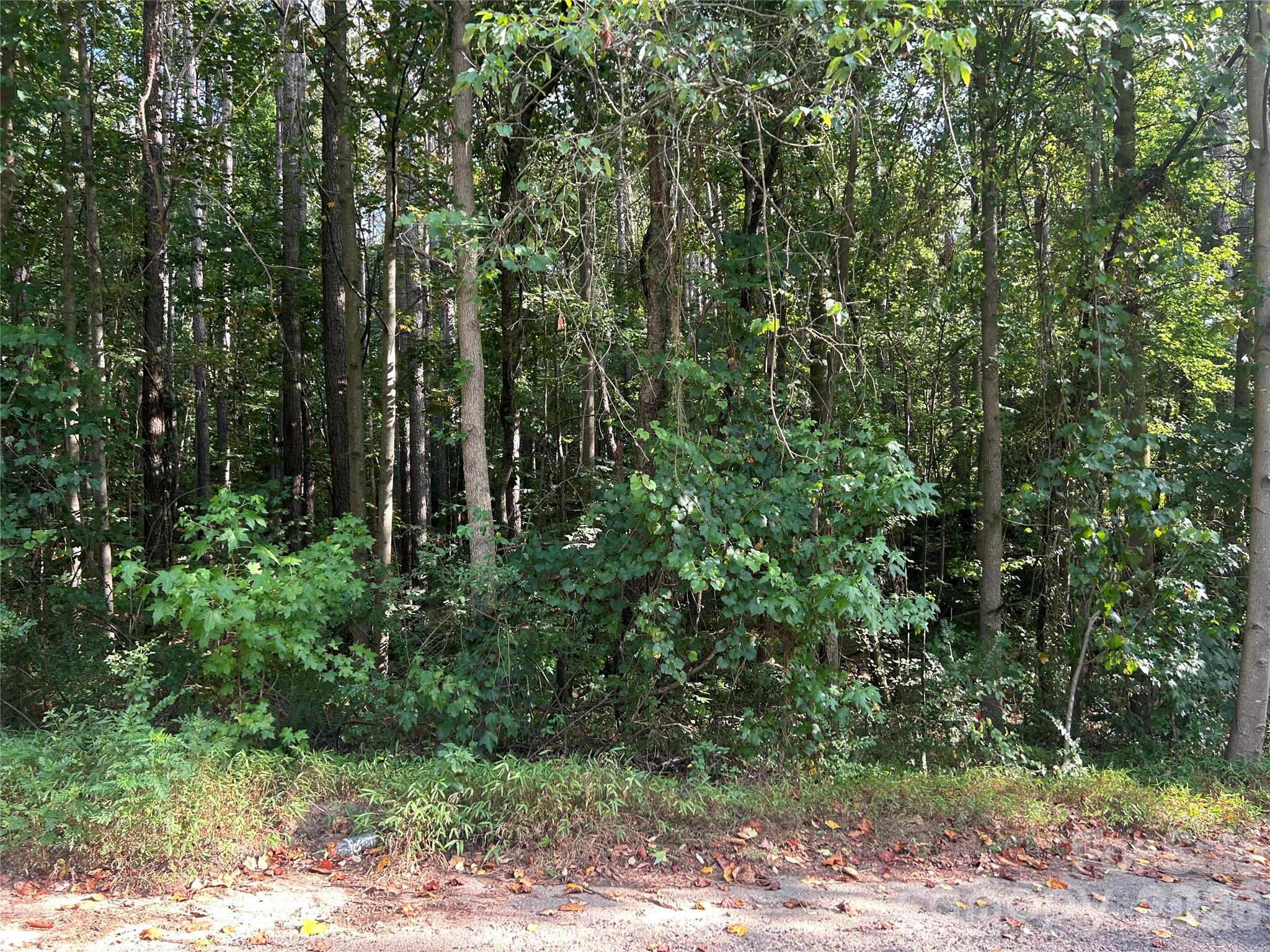 00 Knottywood Lane 25 Property Photo 5