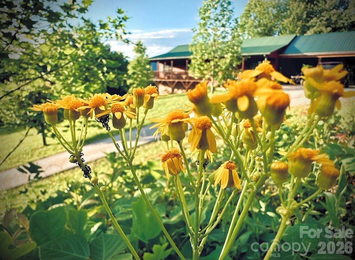 3430 Tranquil Hills Drive Property Photo 3