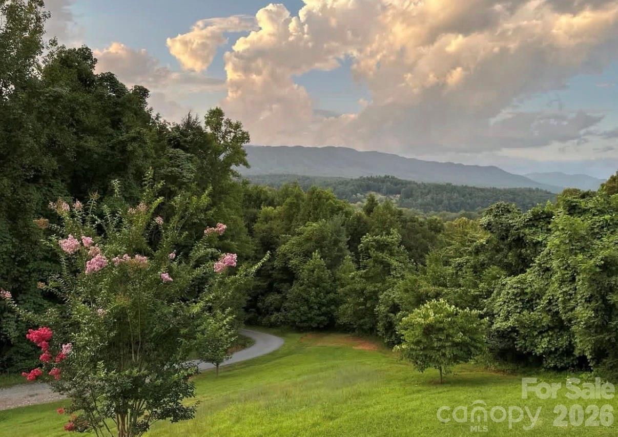 3430 Tranquil Hills Drive Property Photo 46