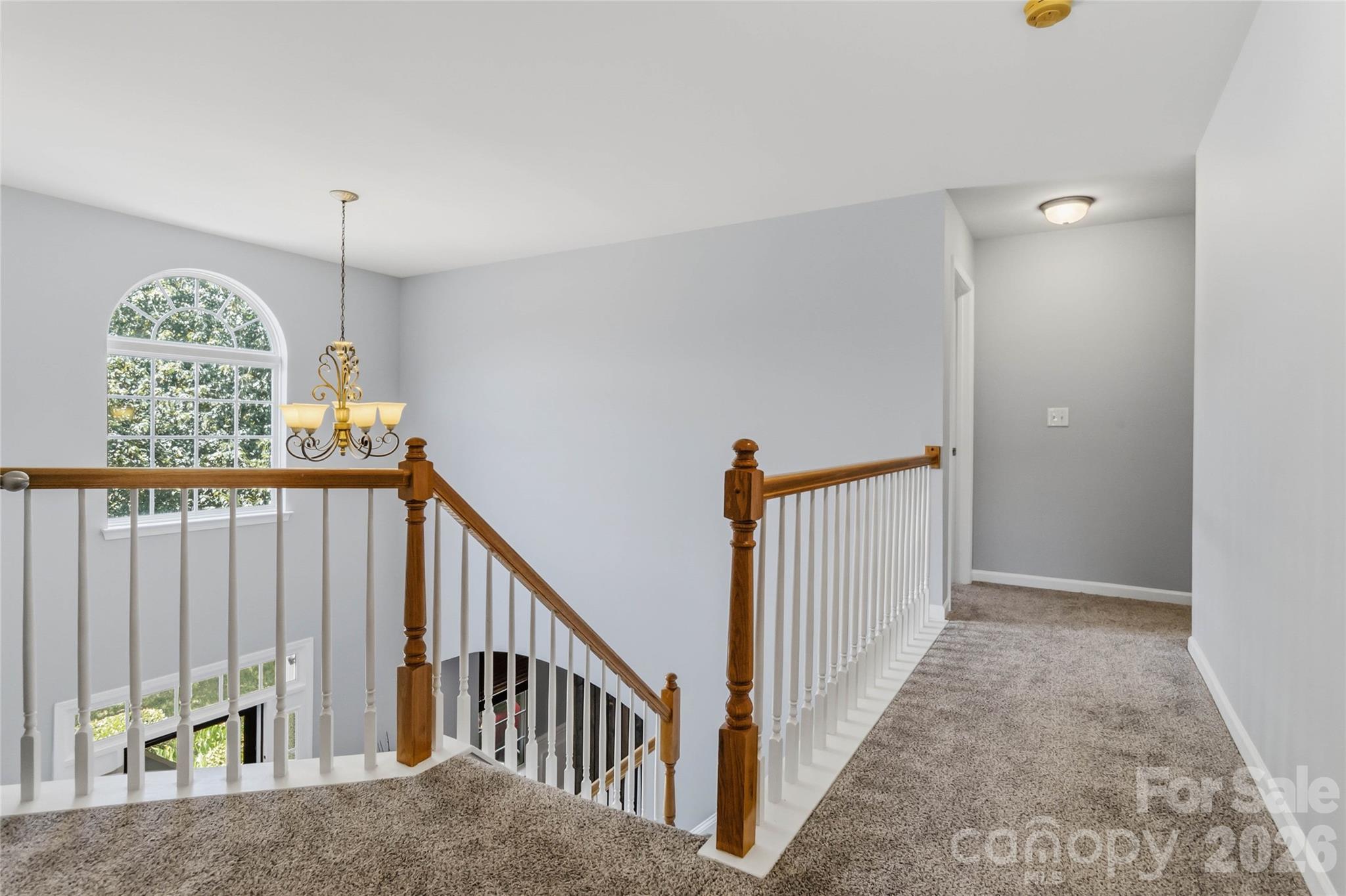 8522 Delamere Lane Property Photo 22