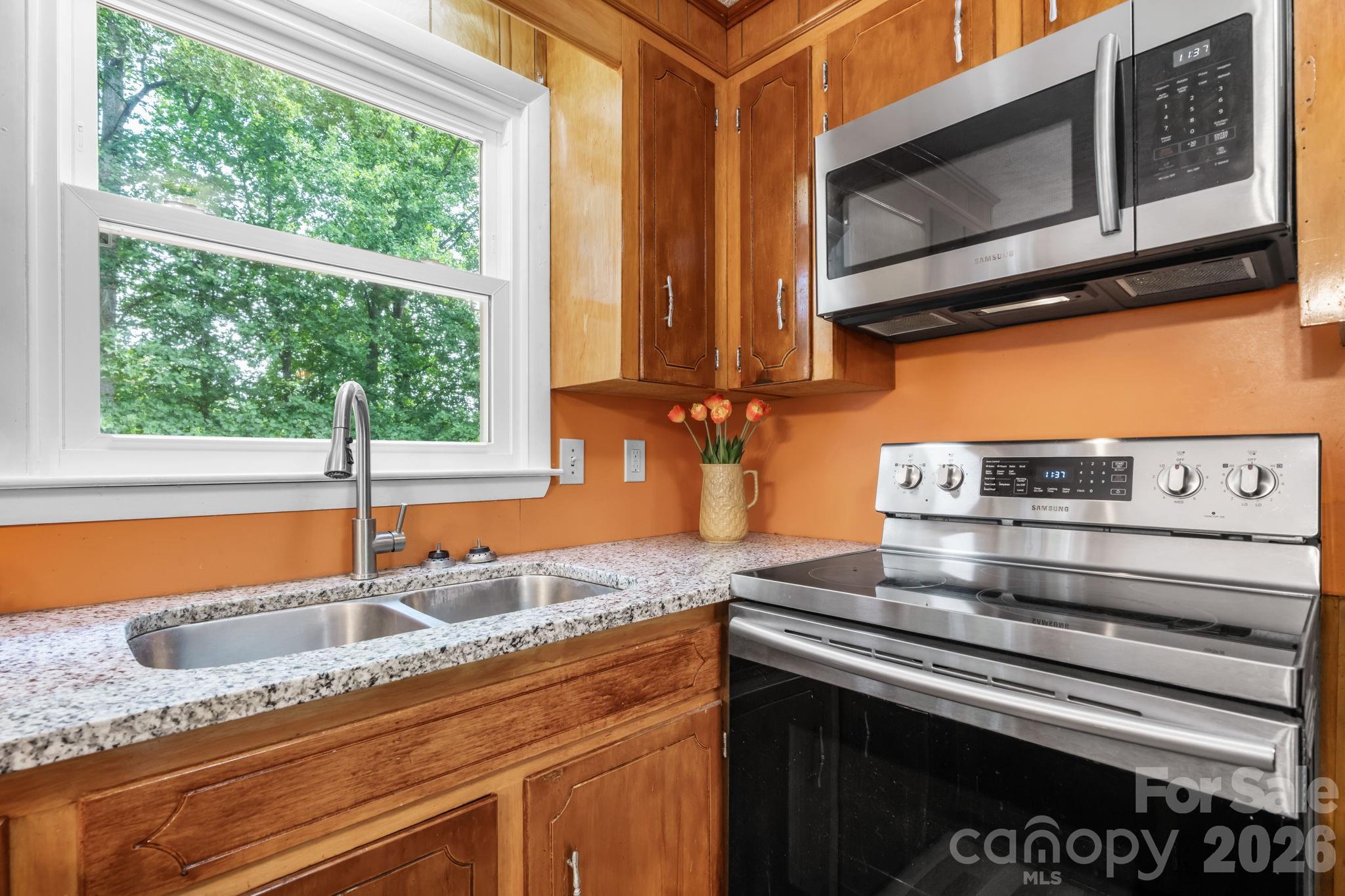 2428 Cedar Valley Drive Property Photo 8