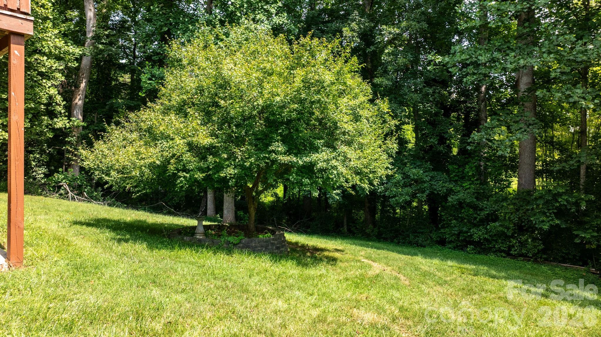 2428 Cedar Valley Drive Property Photo 34