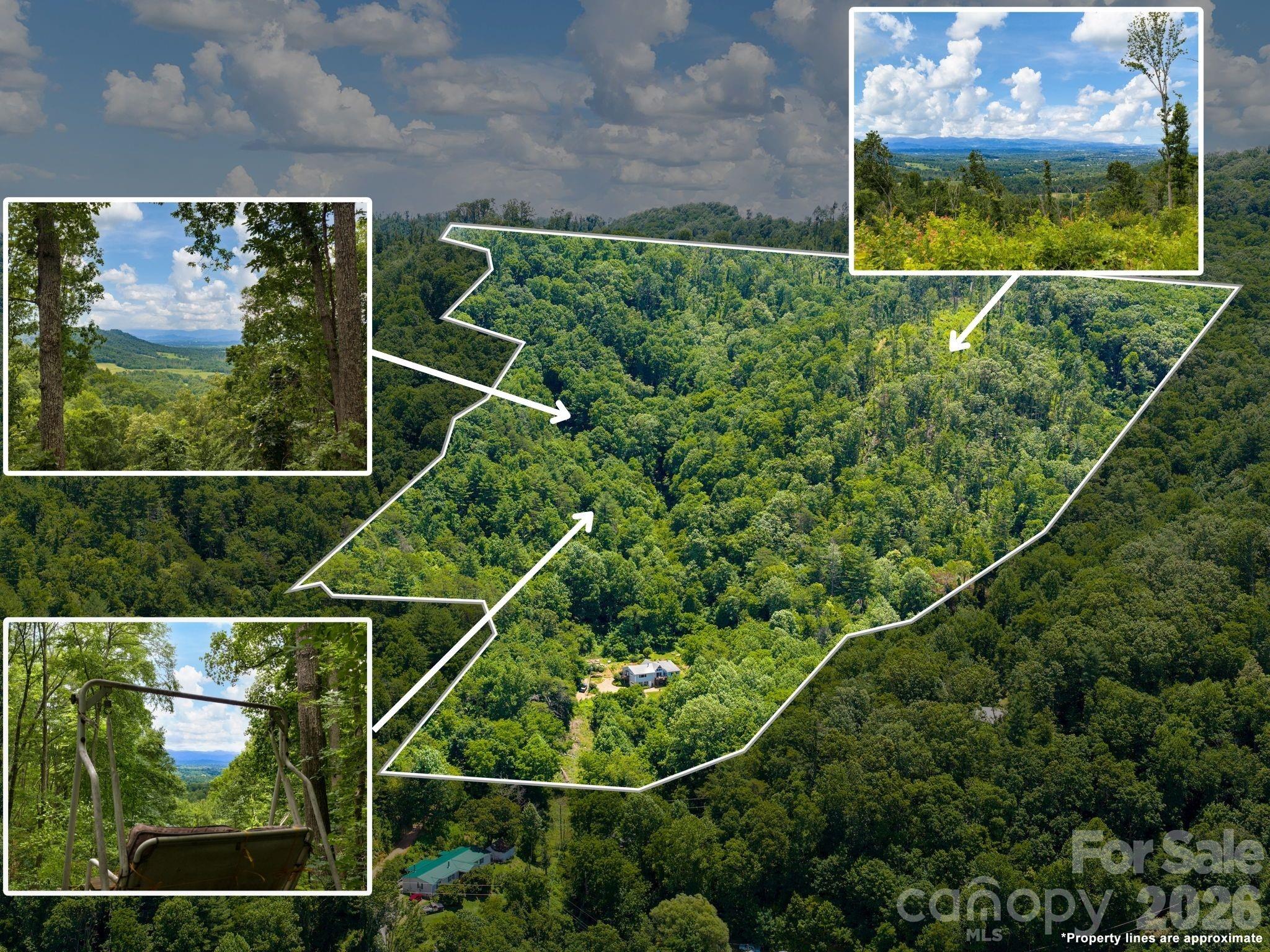 46 Perennial Ridge Property Photo 2