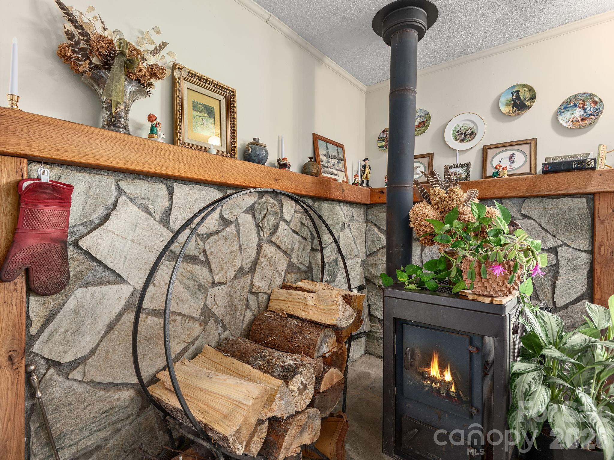 46 Perennial Ridge Property Photo 9