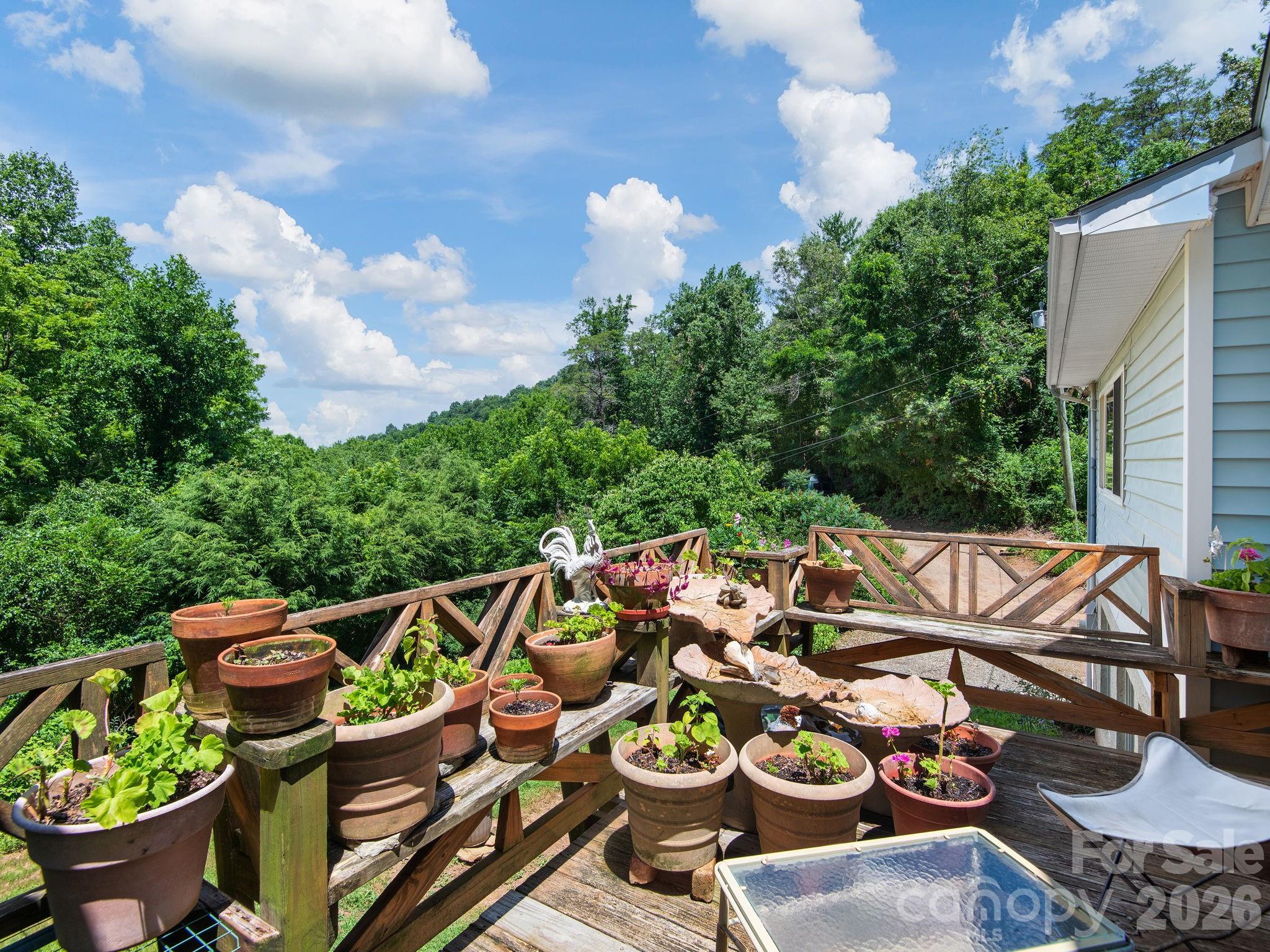 46 Perennial Ridge Property Photo 26