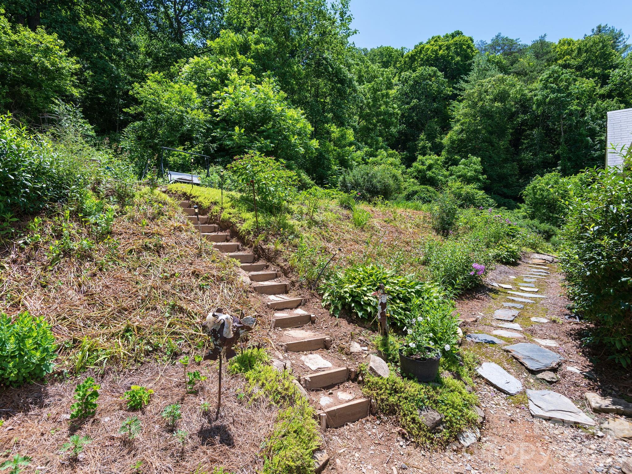 46 Perennial Ridge Property Photo 27