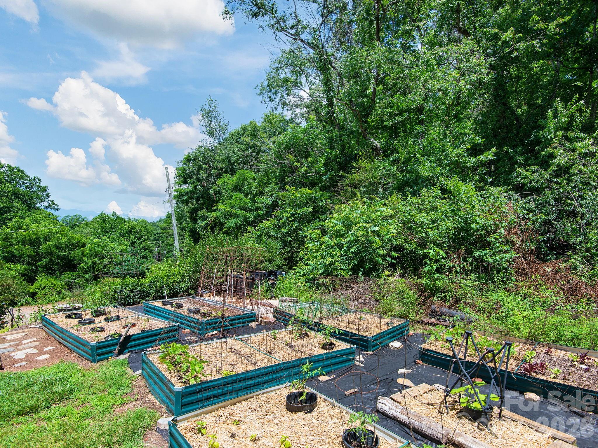 46 Perennial Ridge Property Photo 28