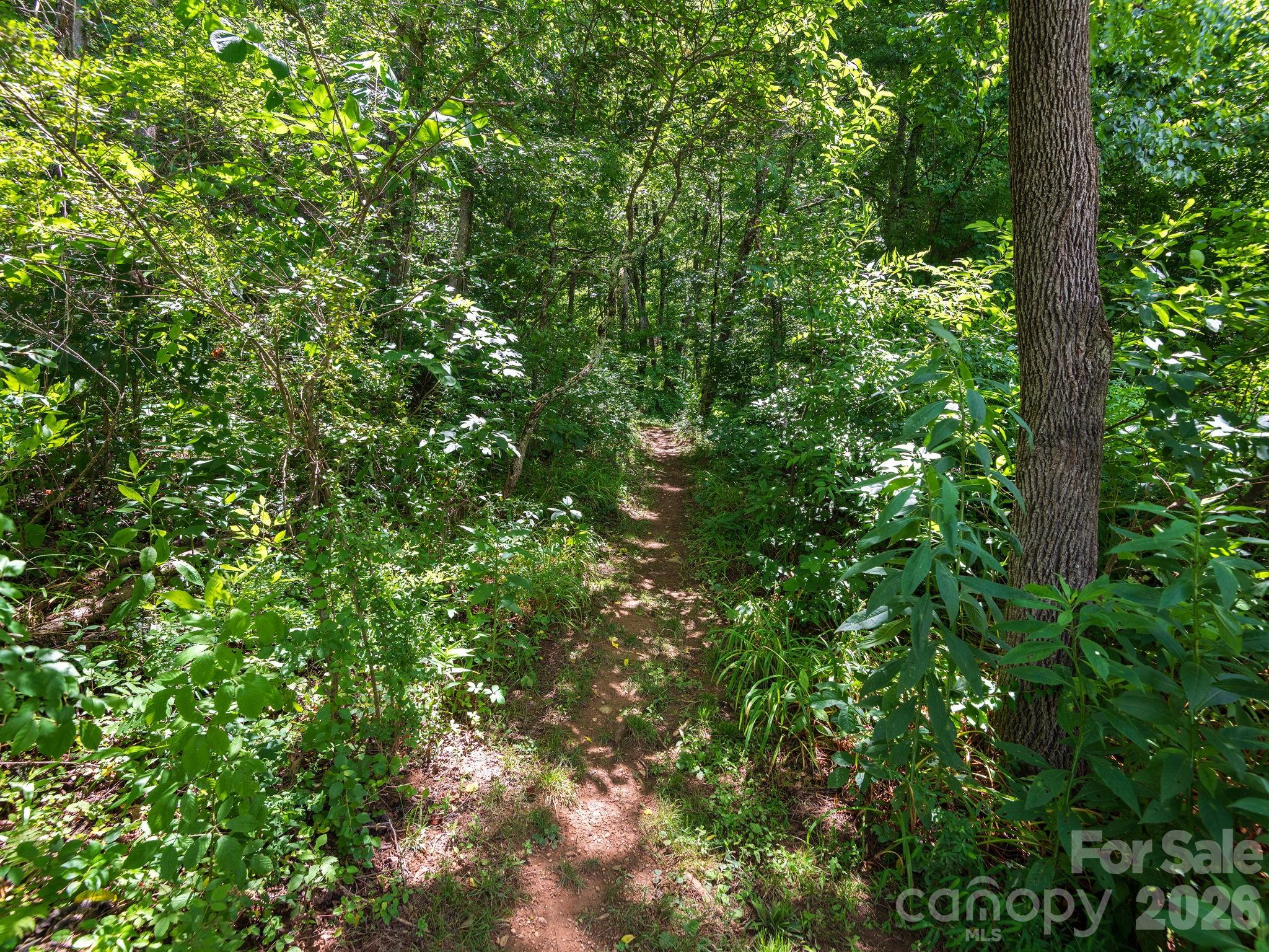 46 Perennial Ridge Property Photo 33