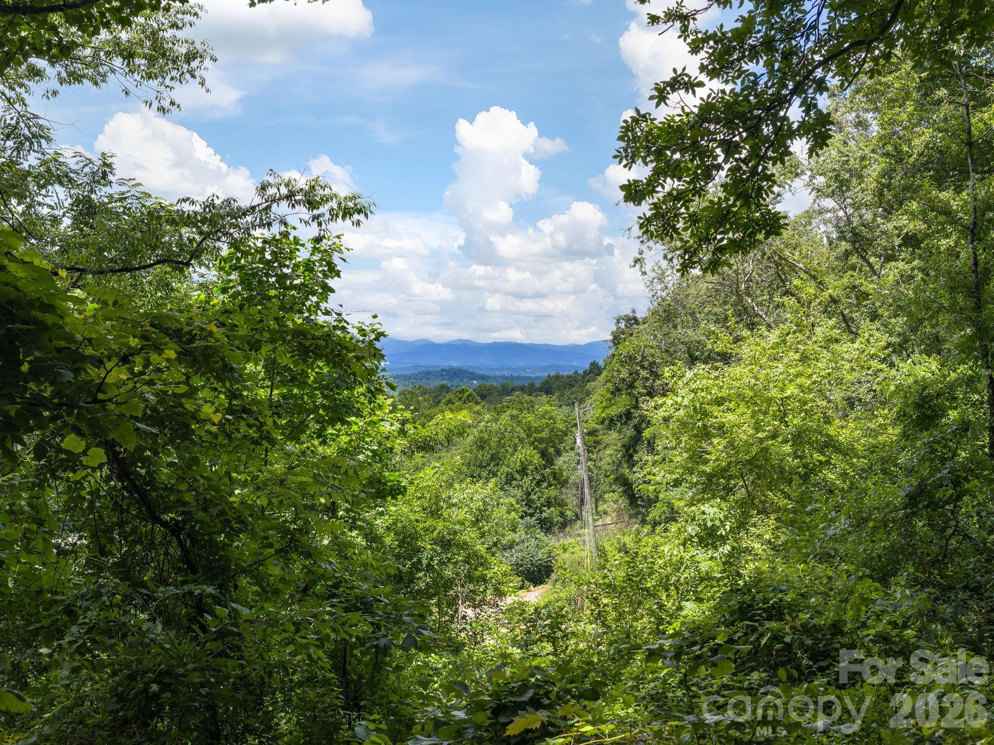 46 Perennial Ridge Property Photo 34