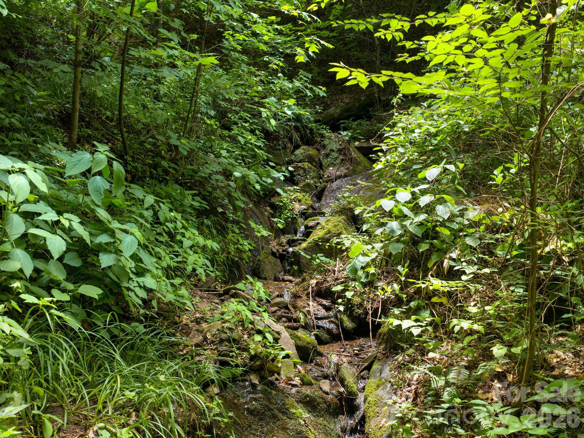 46 Perennial Ridge Property Photo 35
