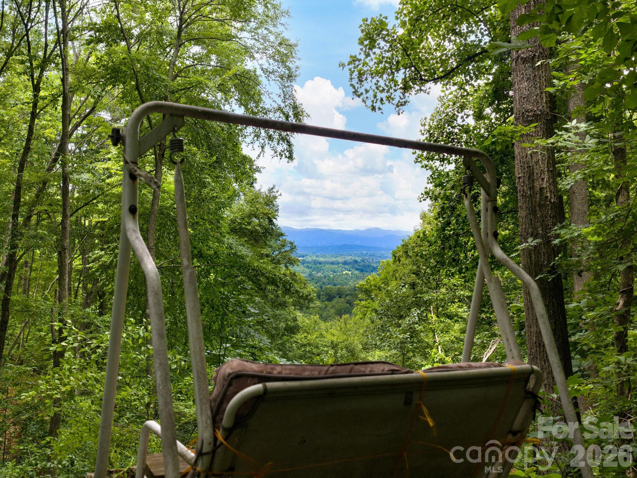 46 Perennial Ridge Property Photo 36