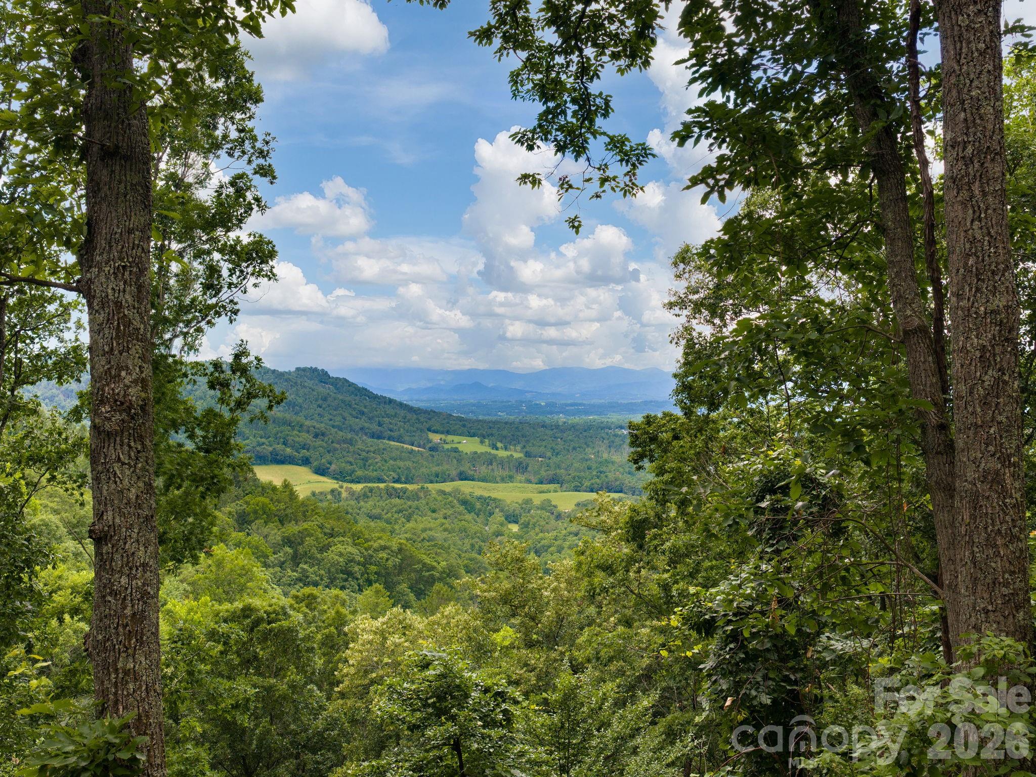 46 Perennial Ridge Property Photo 37