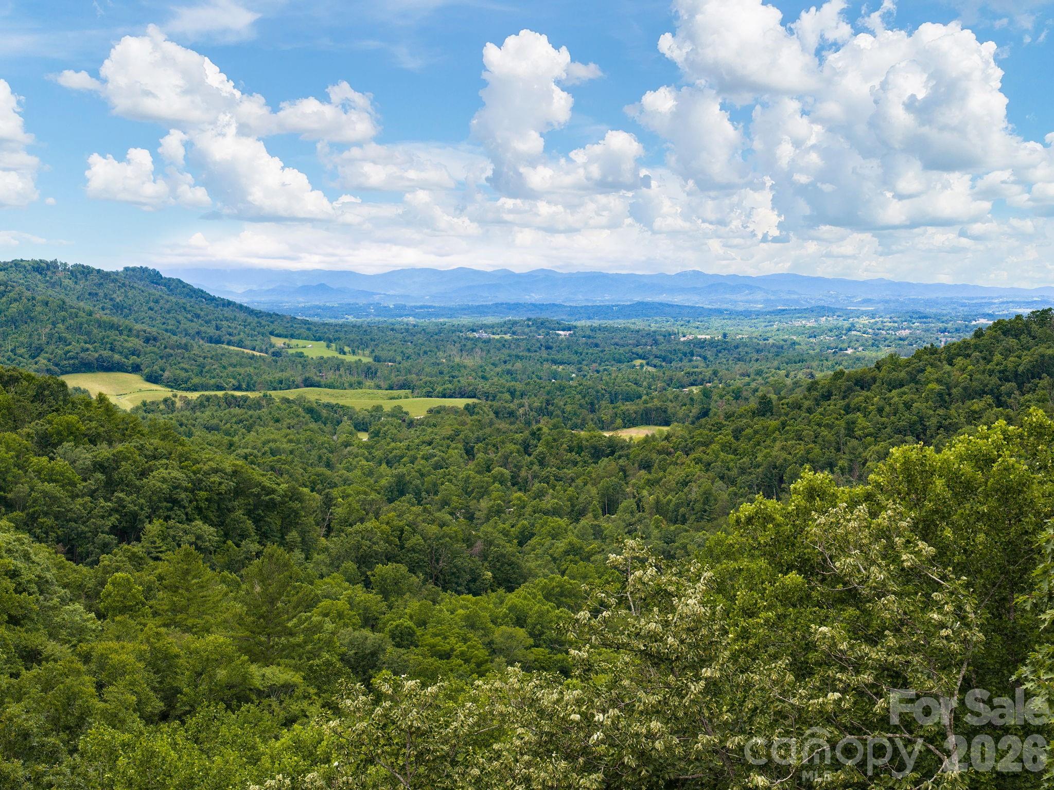 46 Perennial Ridge Property Photo 38