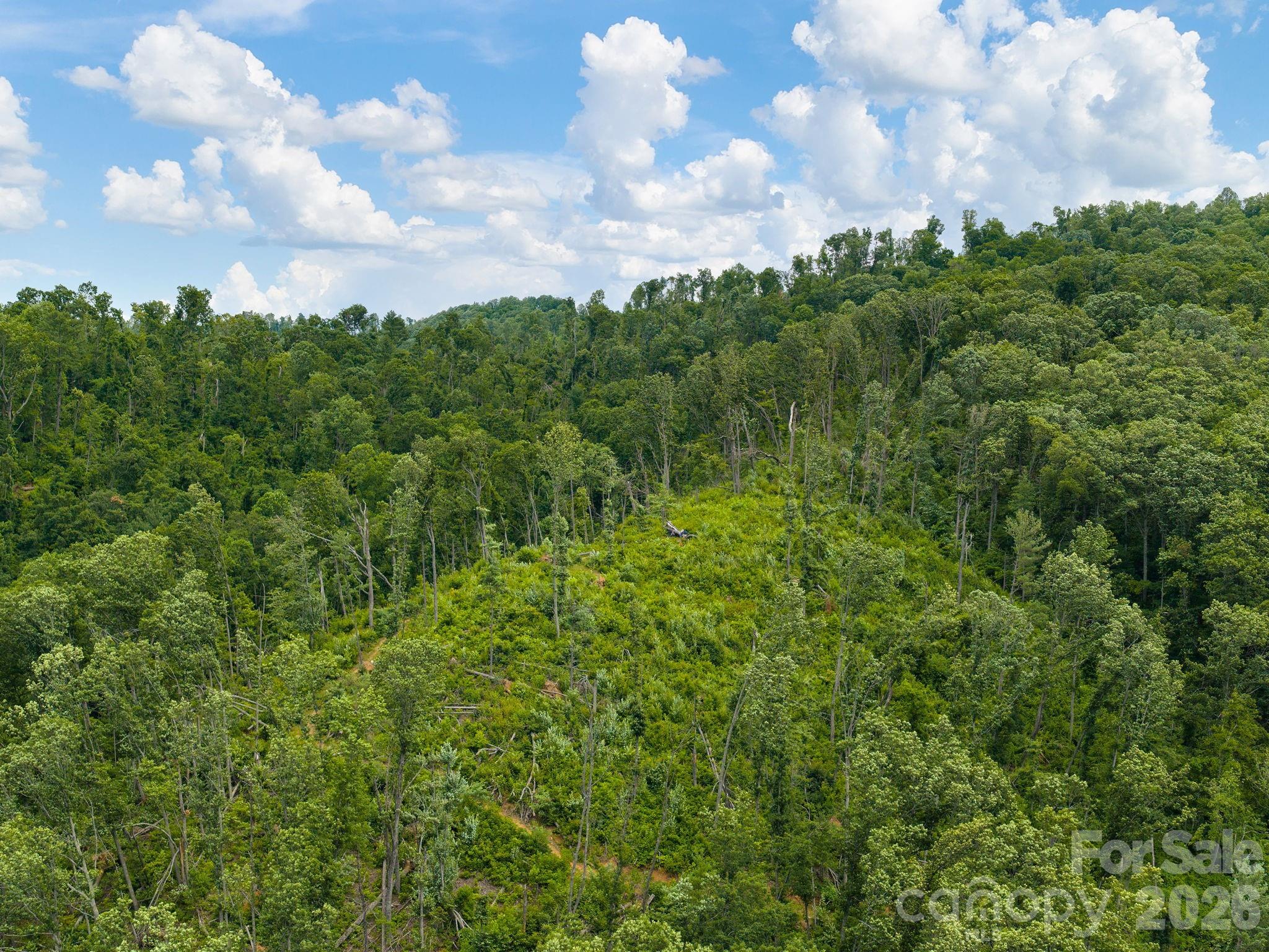 46 Perennial Ridge Property Photo 39