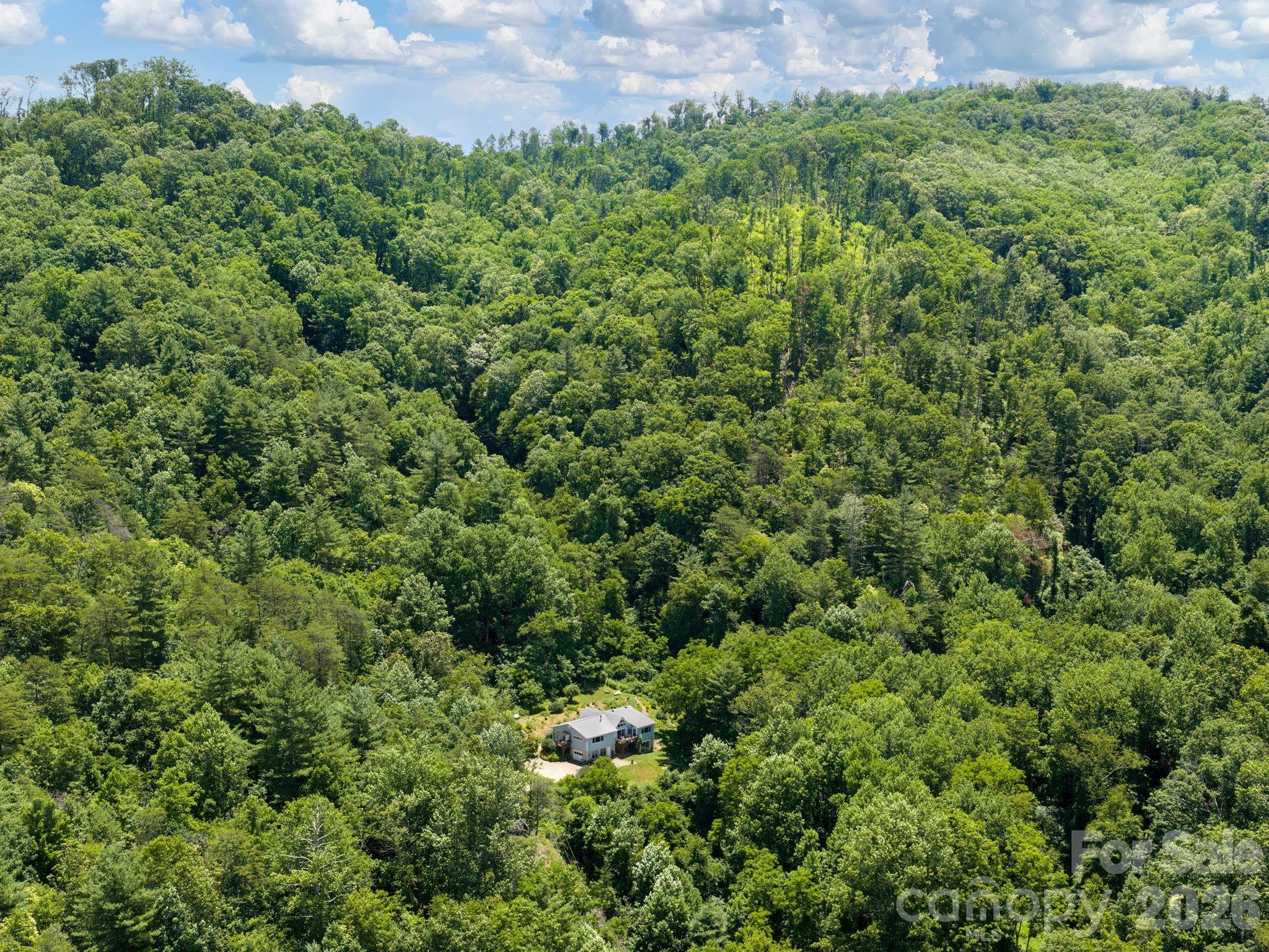 46 Perennial Ridge Property Photo 40