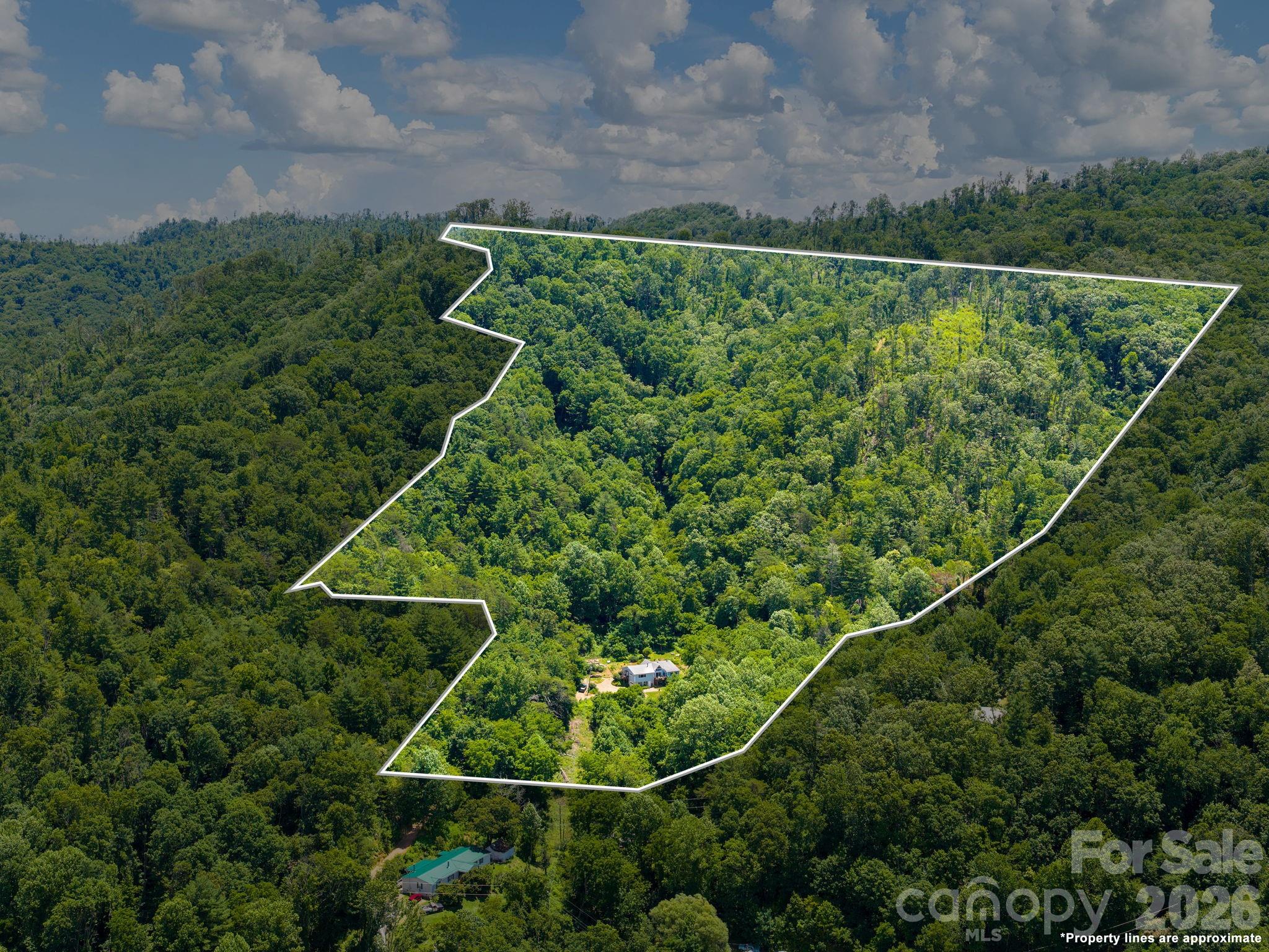 46 Perennial Ridge Property Photo 43