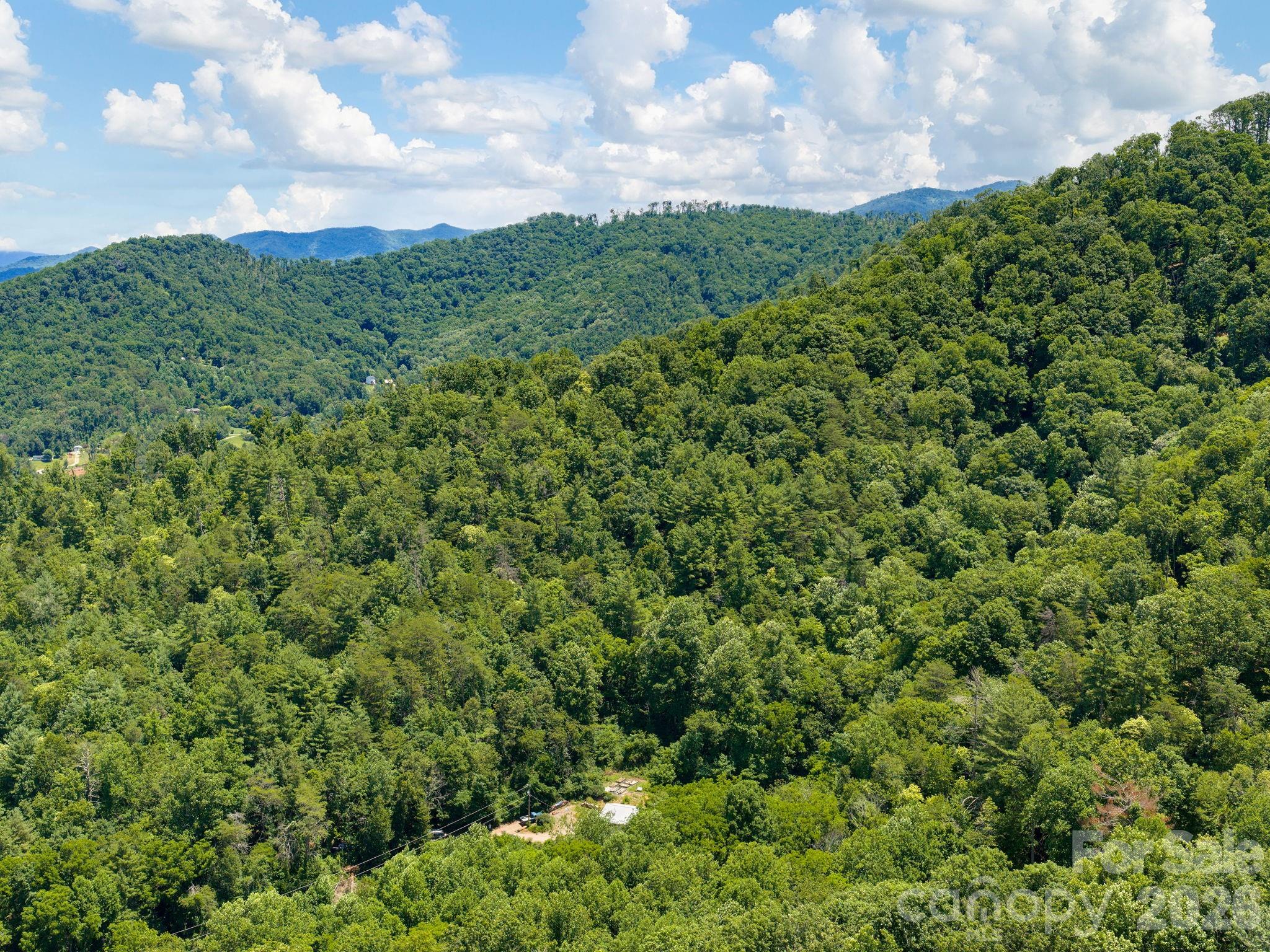 46 Perennial Ridge Property Photo 44