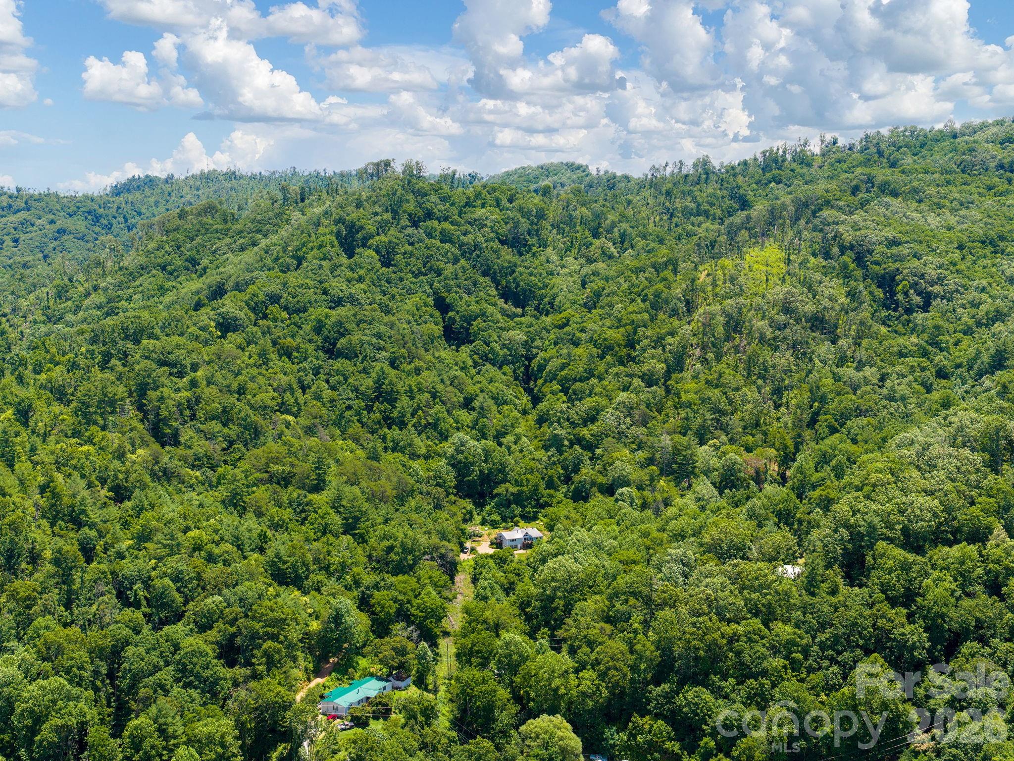 46 Perennial Ridge Property Photo 45