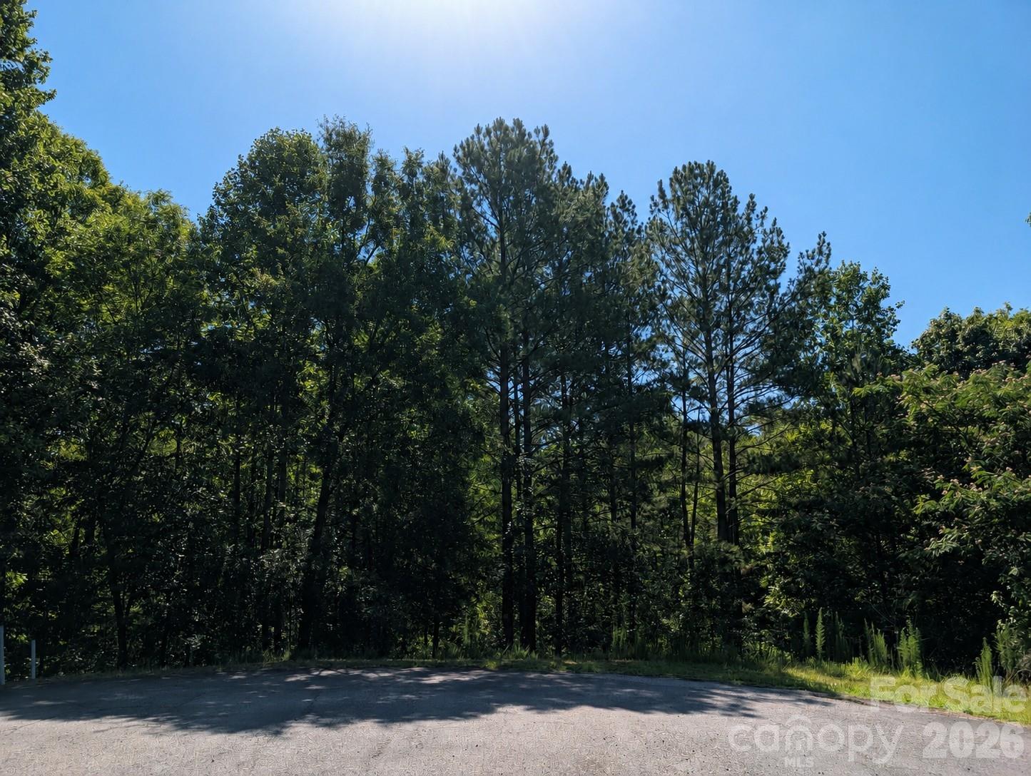 120 Scenic Ridge Drive 36 Property Photo 2