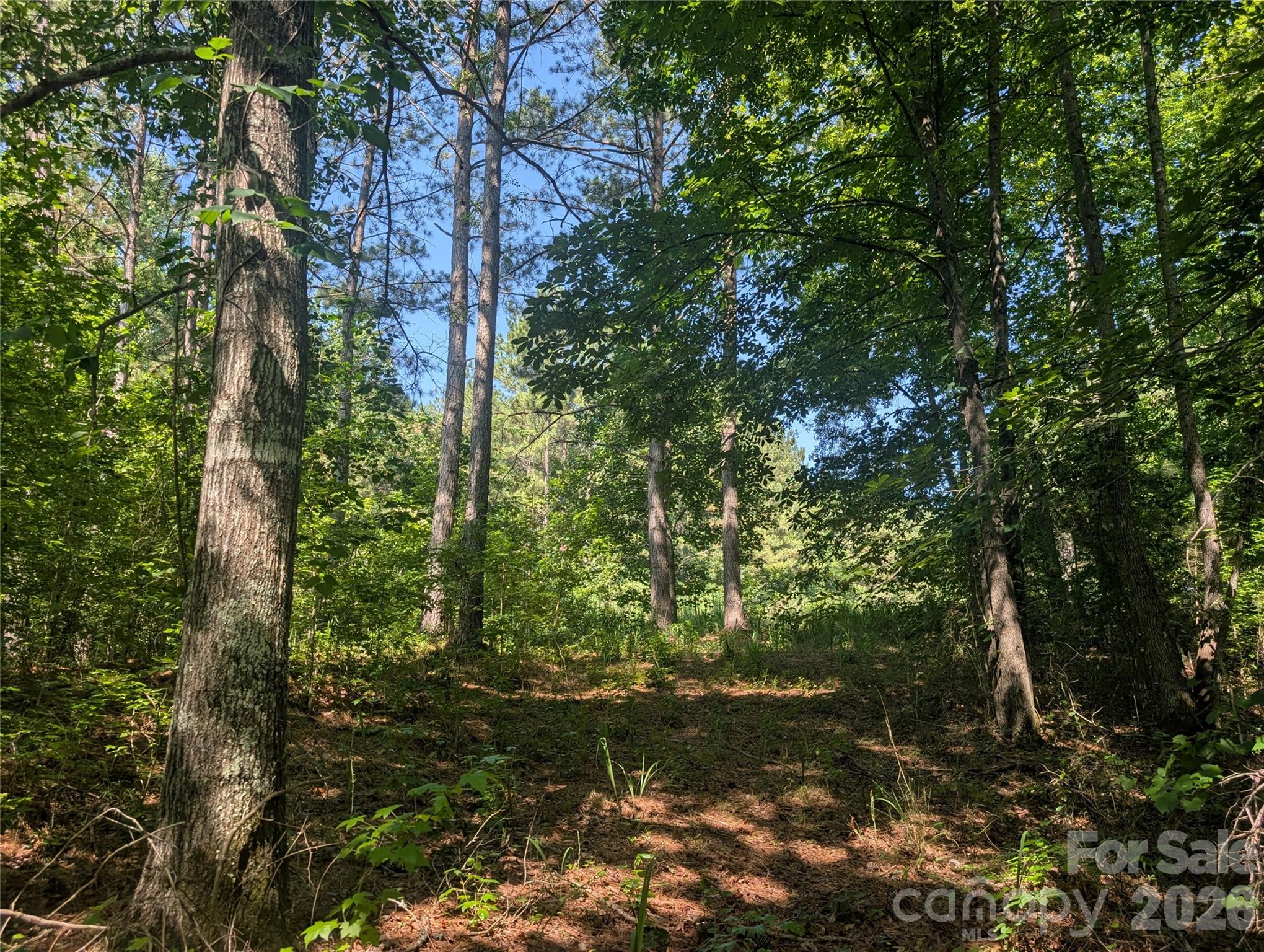 120 Scenic Ridge Drive 36 Property Photo 3