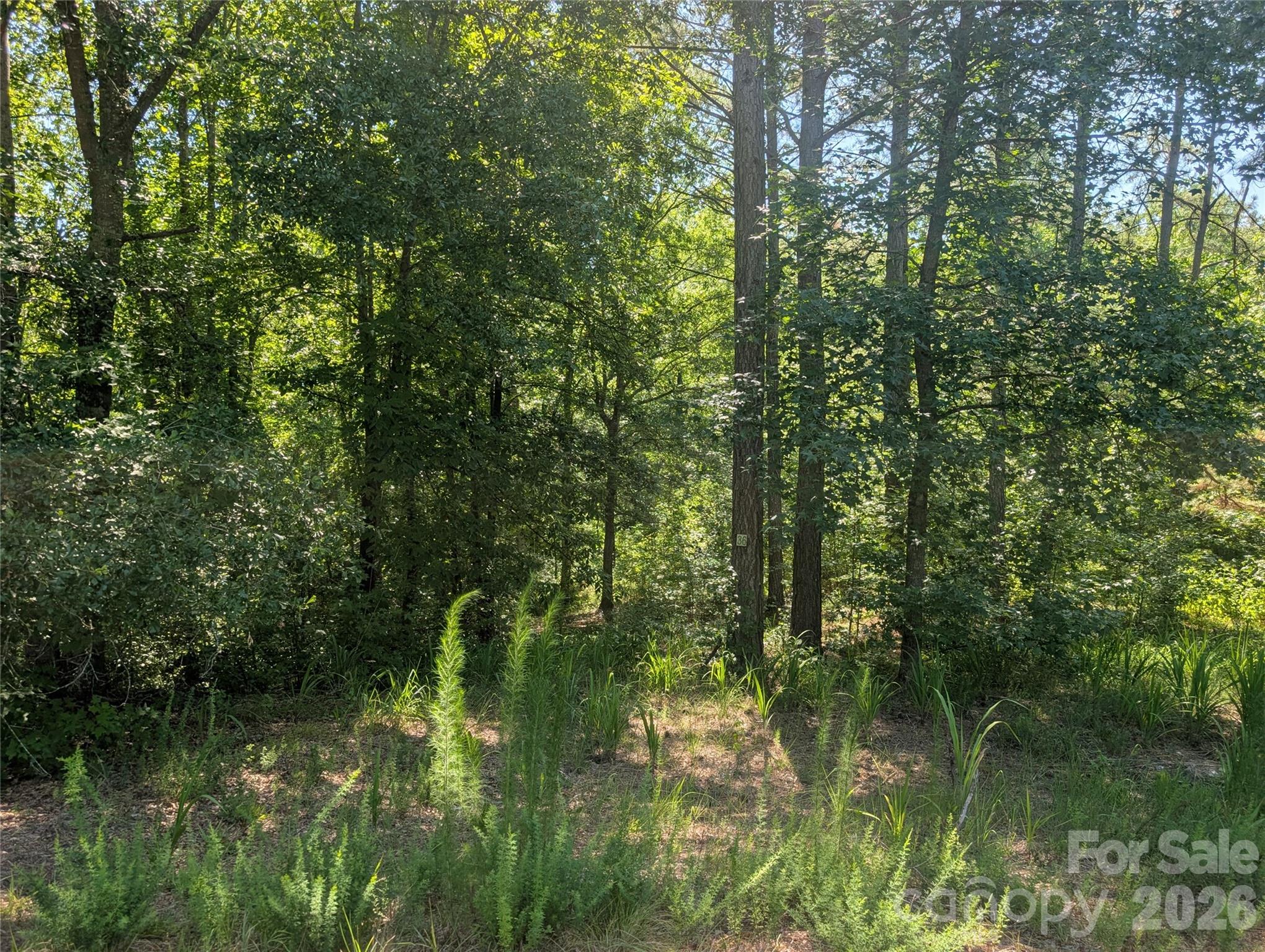 120 Scenic Ridge Drive 36 Property Photo 4