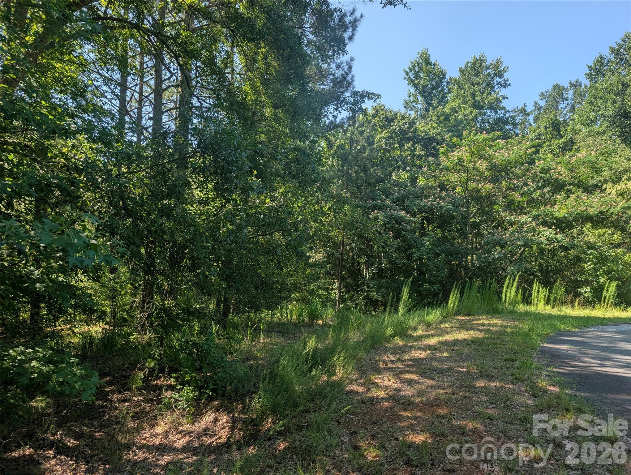 120 Scenic Ridge Drive 36 Property Photo 8