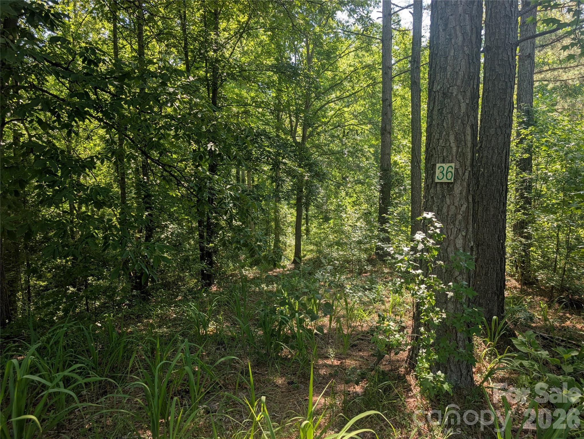 120 Scenic Ridge Drive 36 Property Photo 10