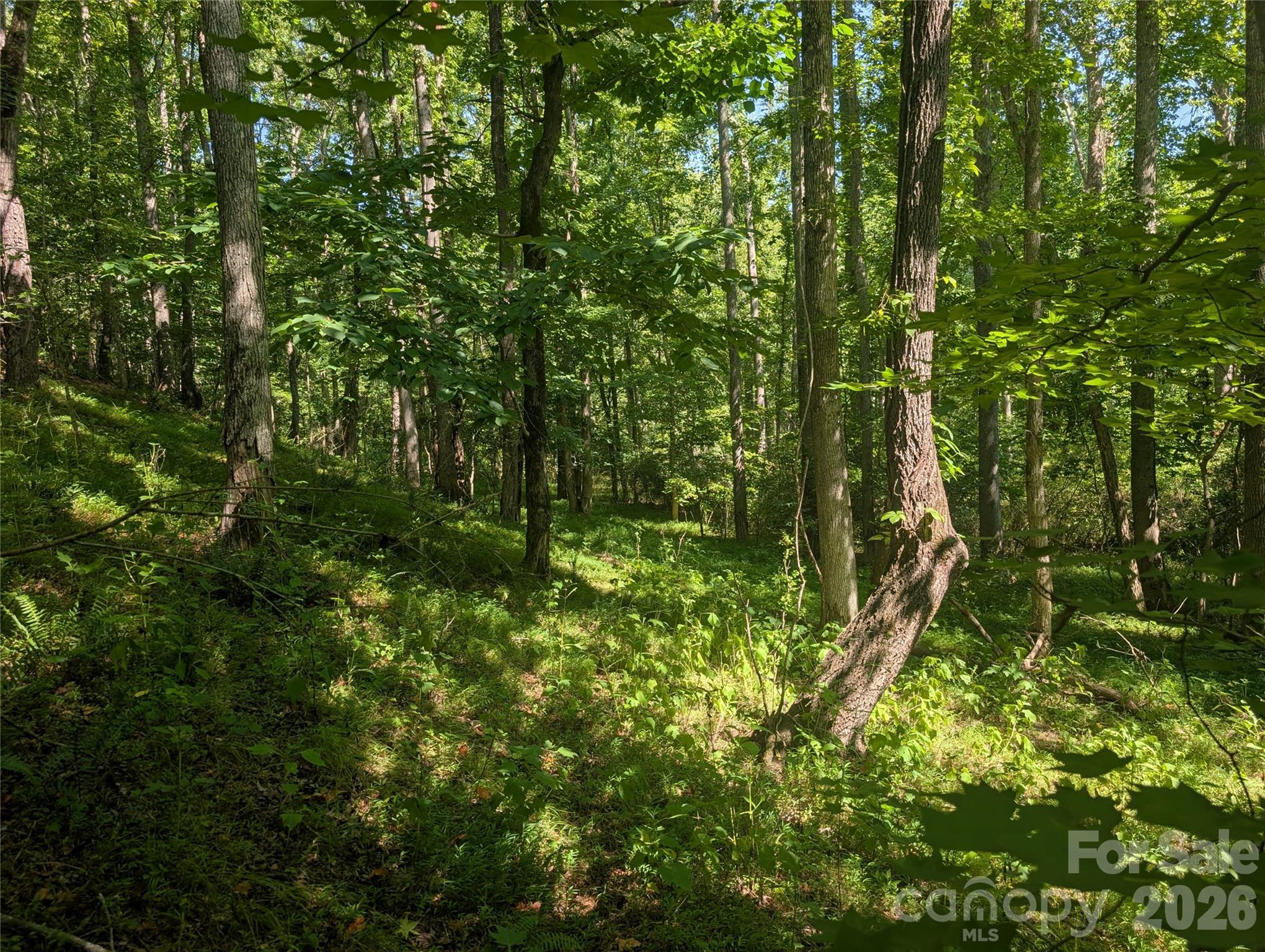 120 Scenic Ridge Drive 36 Property Photo 11