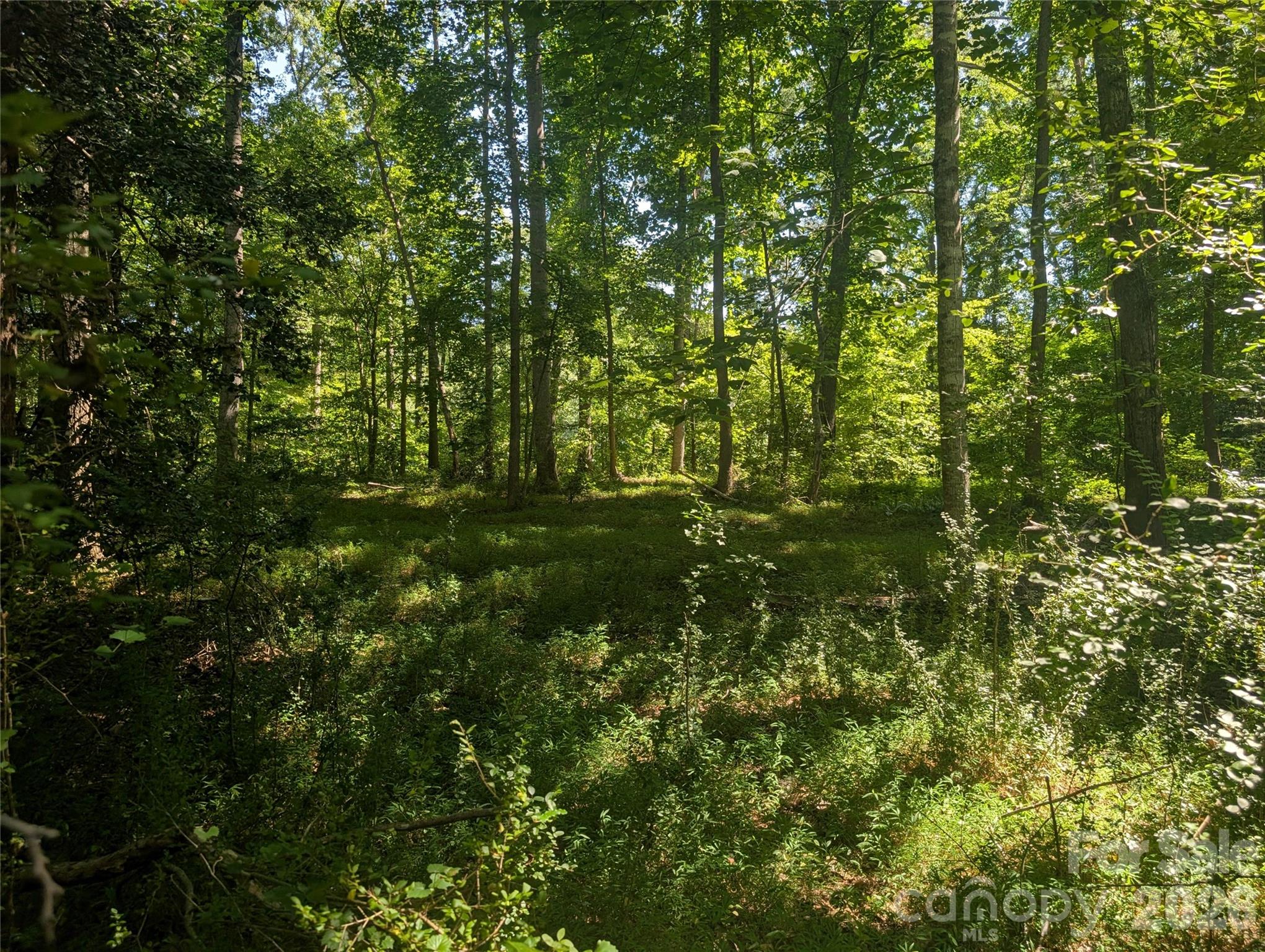 120 Scenic Ridge Drive 36 Property Photo 14