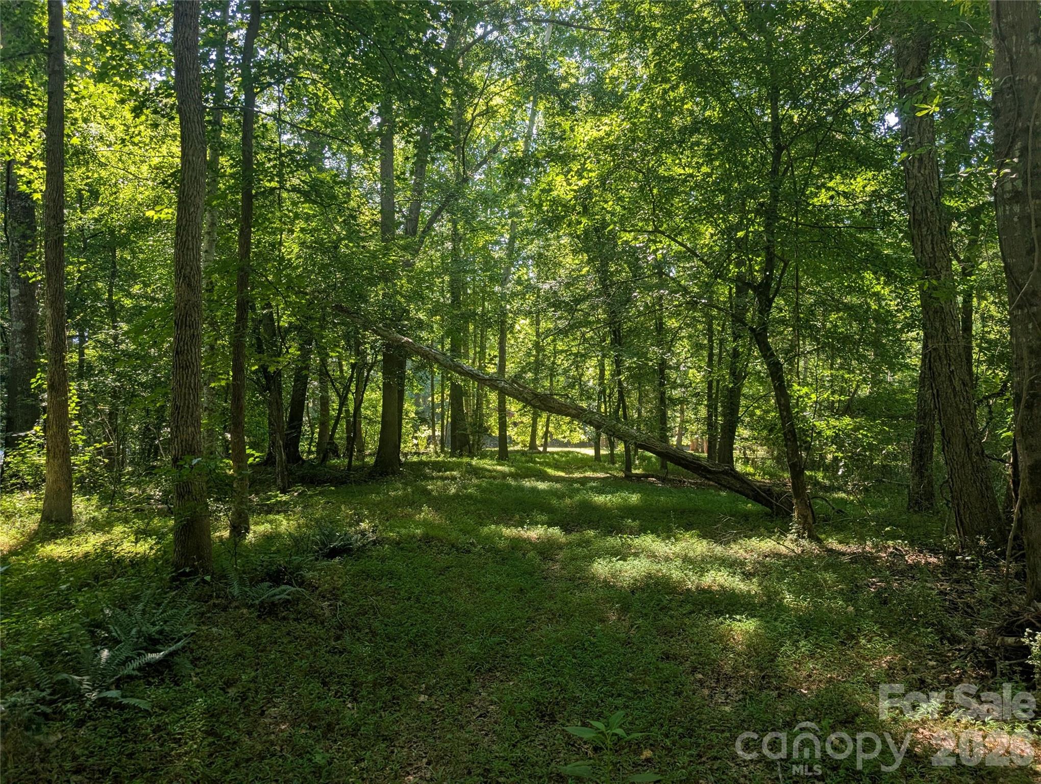 120 Scenic Ridge Drive 36 Property Photo 15