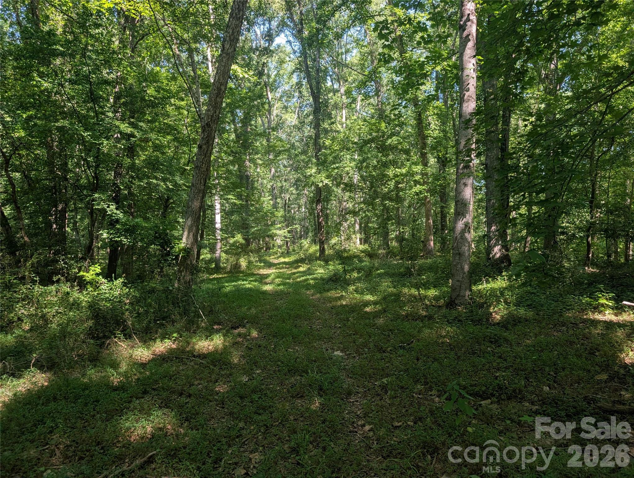 120 Scenic Ridge Drive 36 Property Photo 16