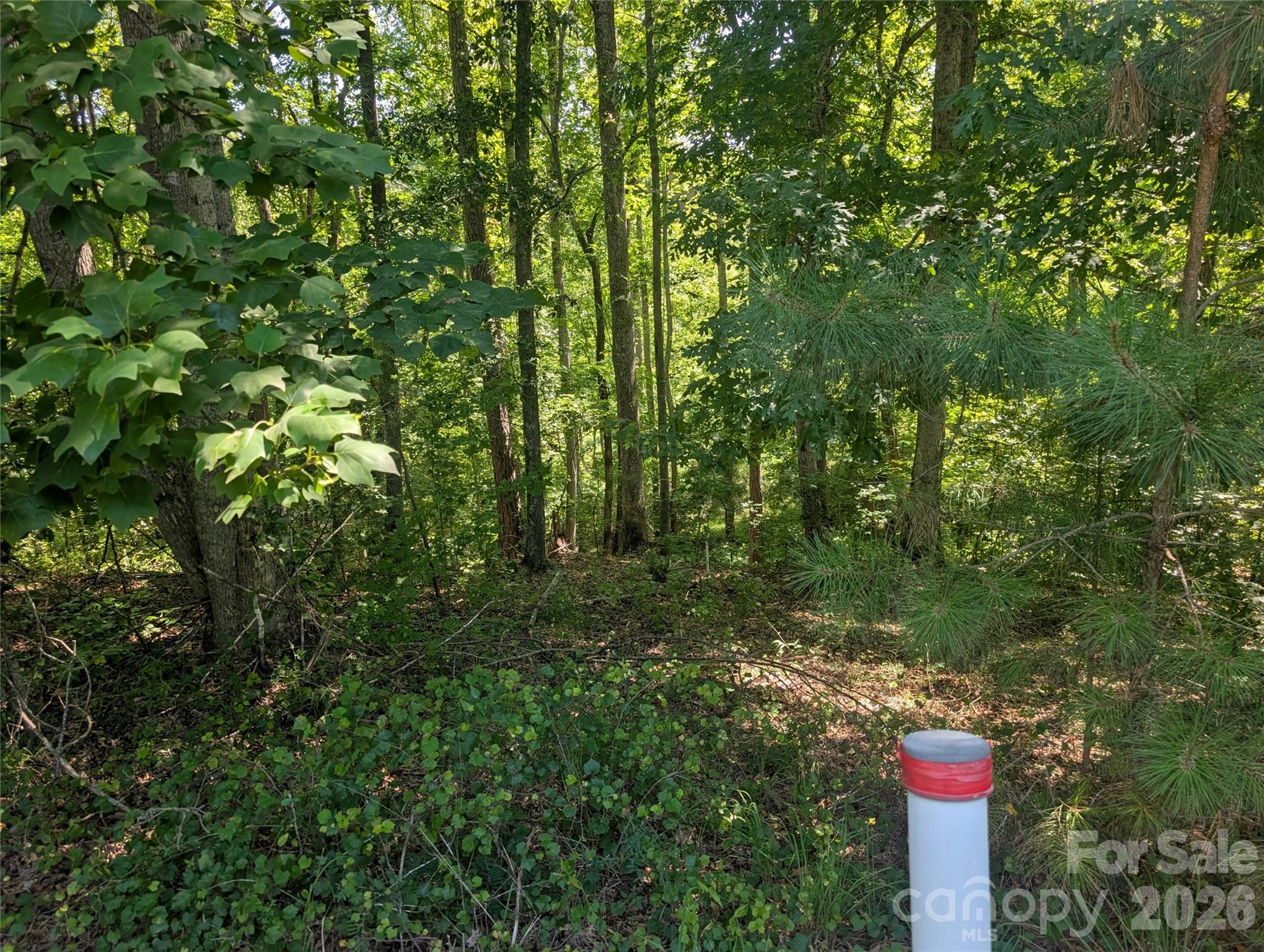 120 Scenic Ridge Drive 36 Property Photo 17