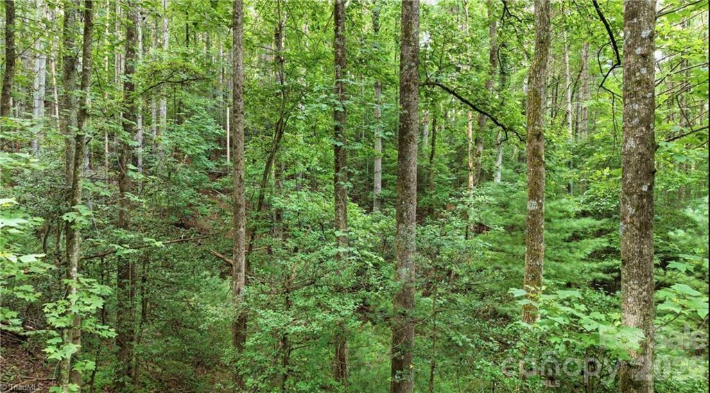 11526 Us Highway 421 None Property Photo 39
