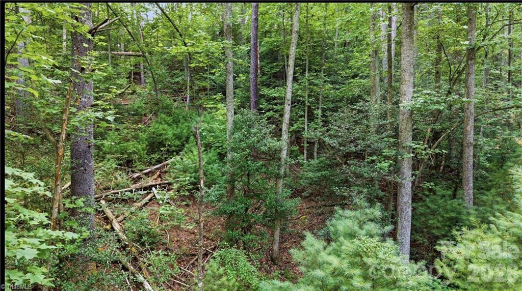 11526 Us Highway 421 None Property Photo 40