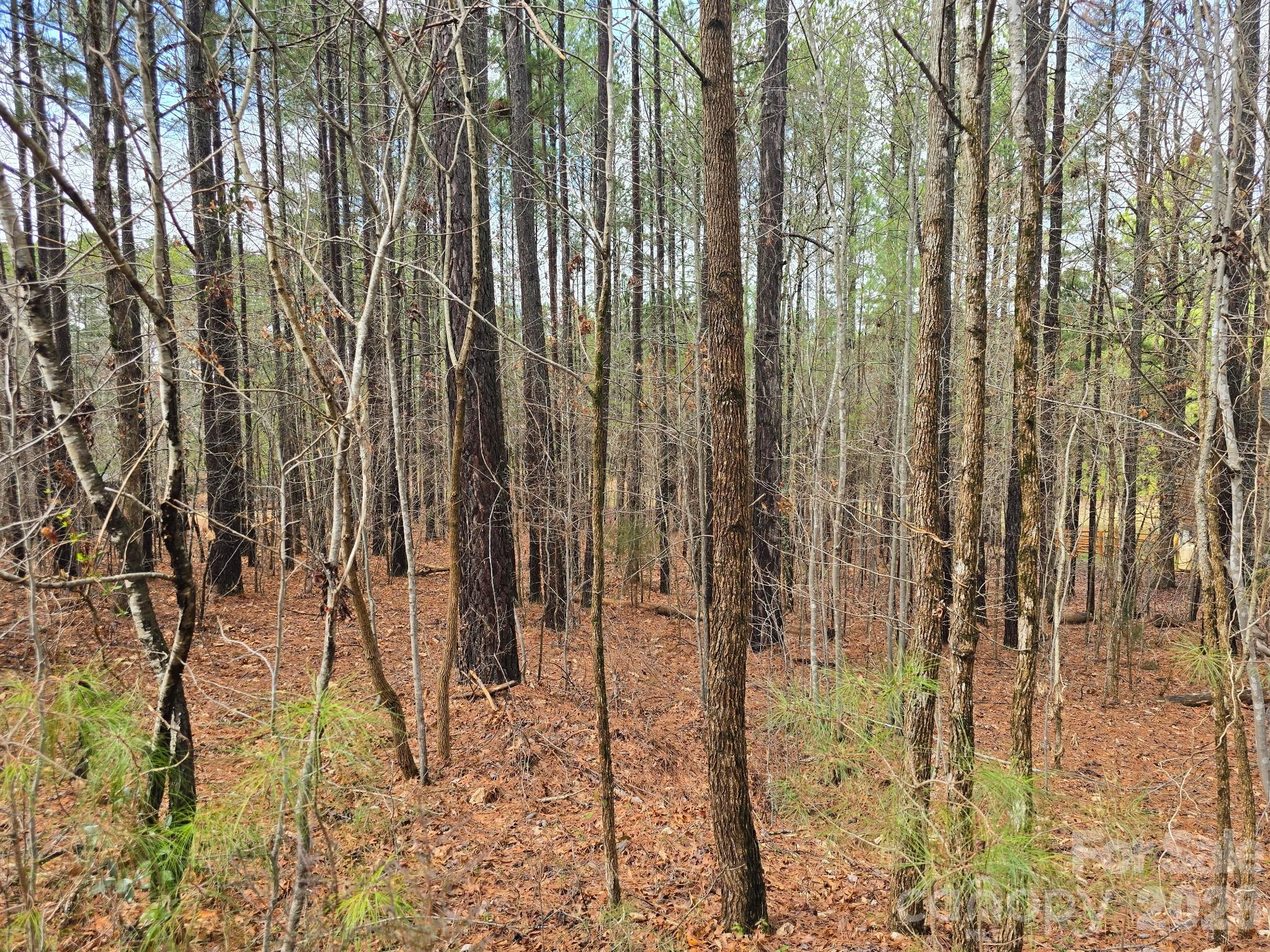 225 Cove Wood Drive Property Photo 2