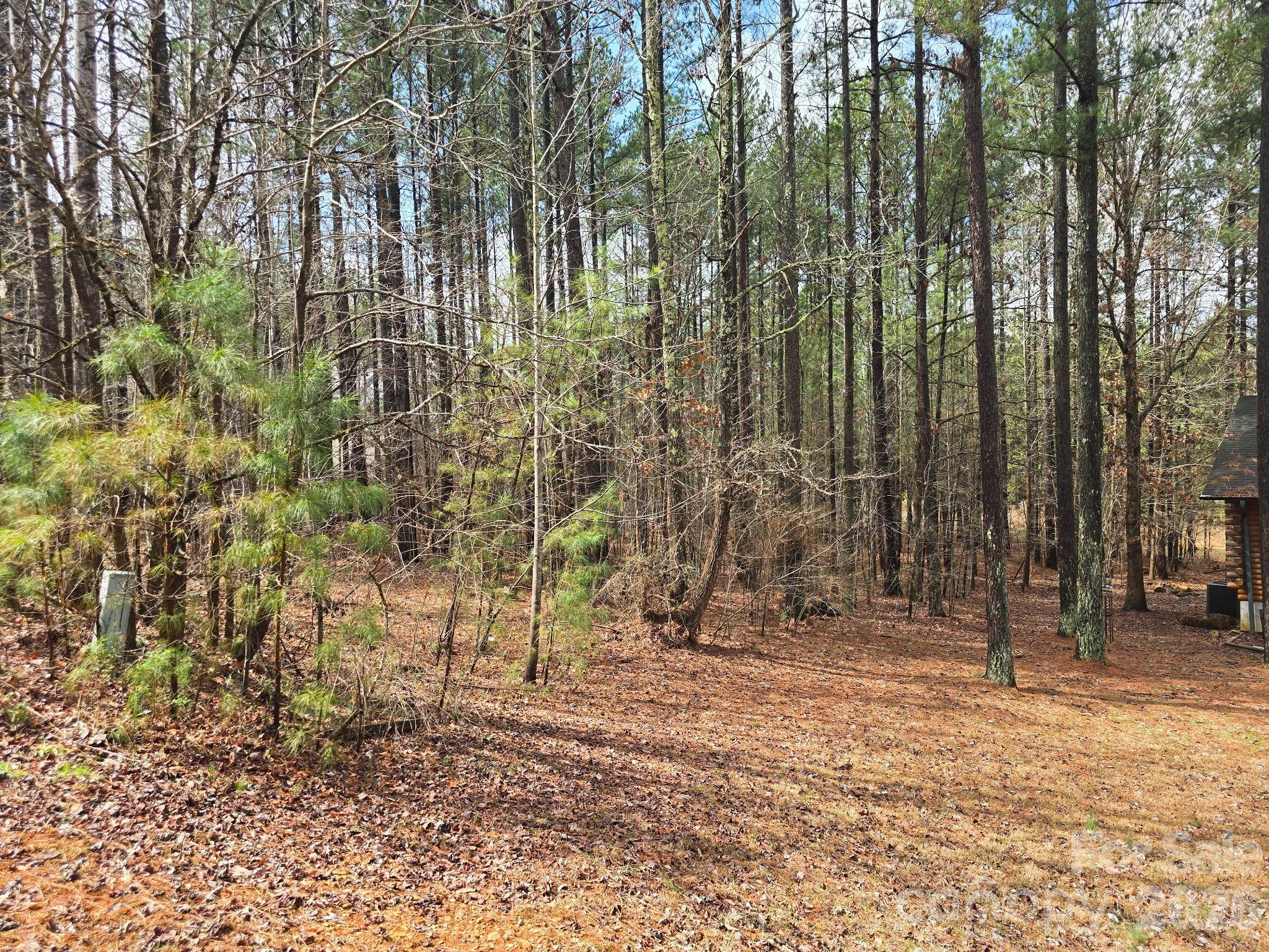 225 Cove Wood Drive Property Photo 3