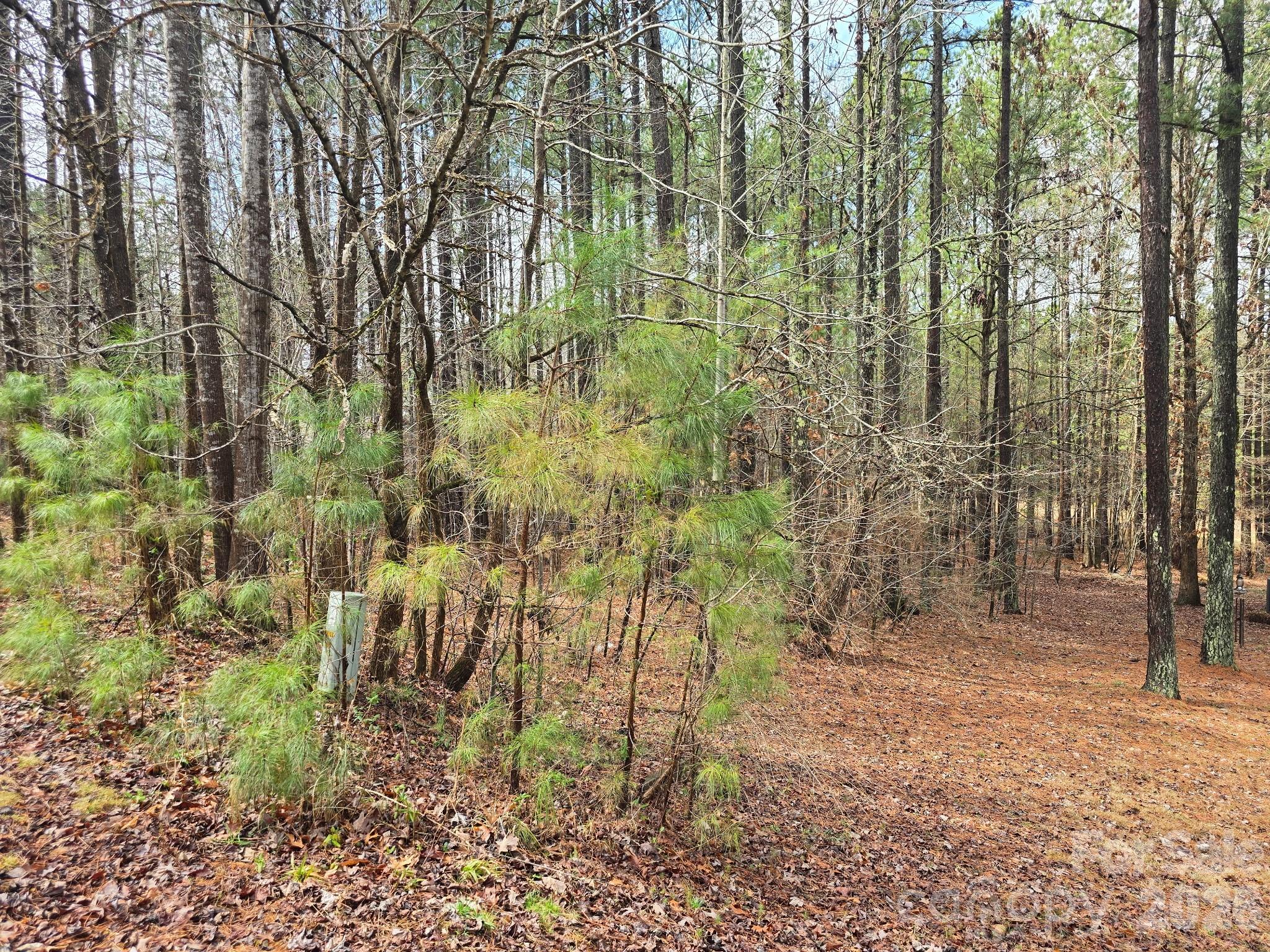 225 Cove Wood Drive Property Photo 4