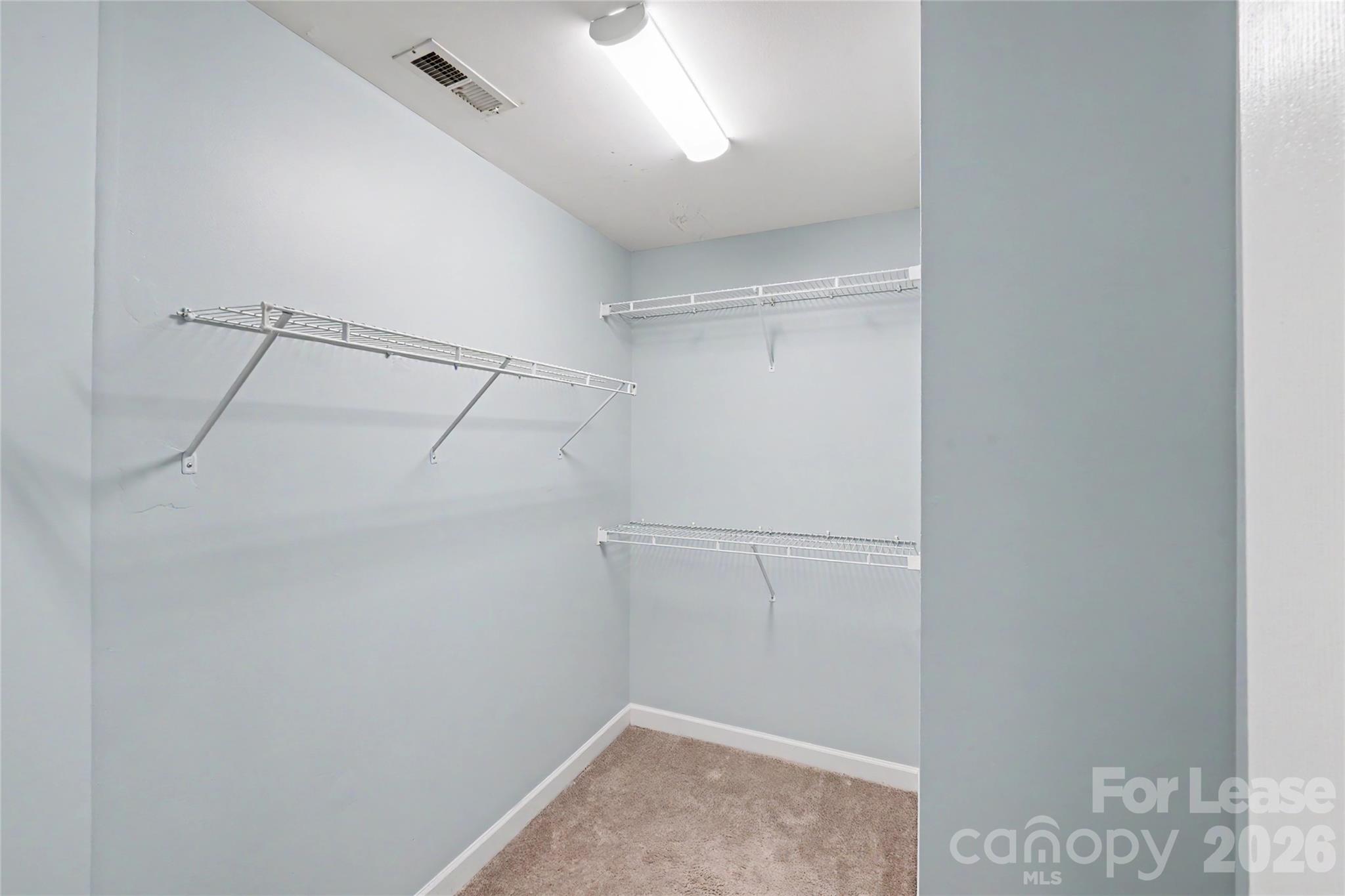 6424 Royal Celadon Way Property Photo 22
