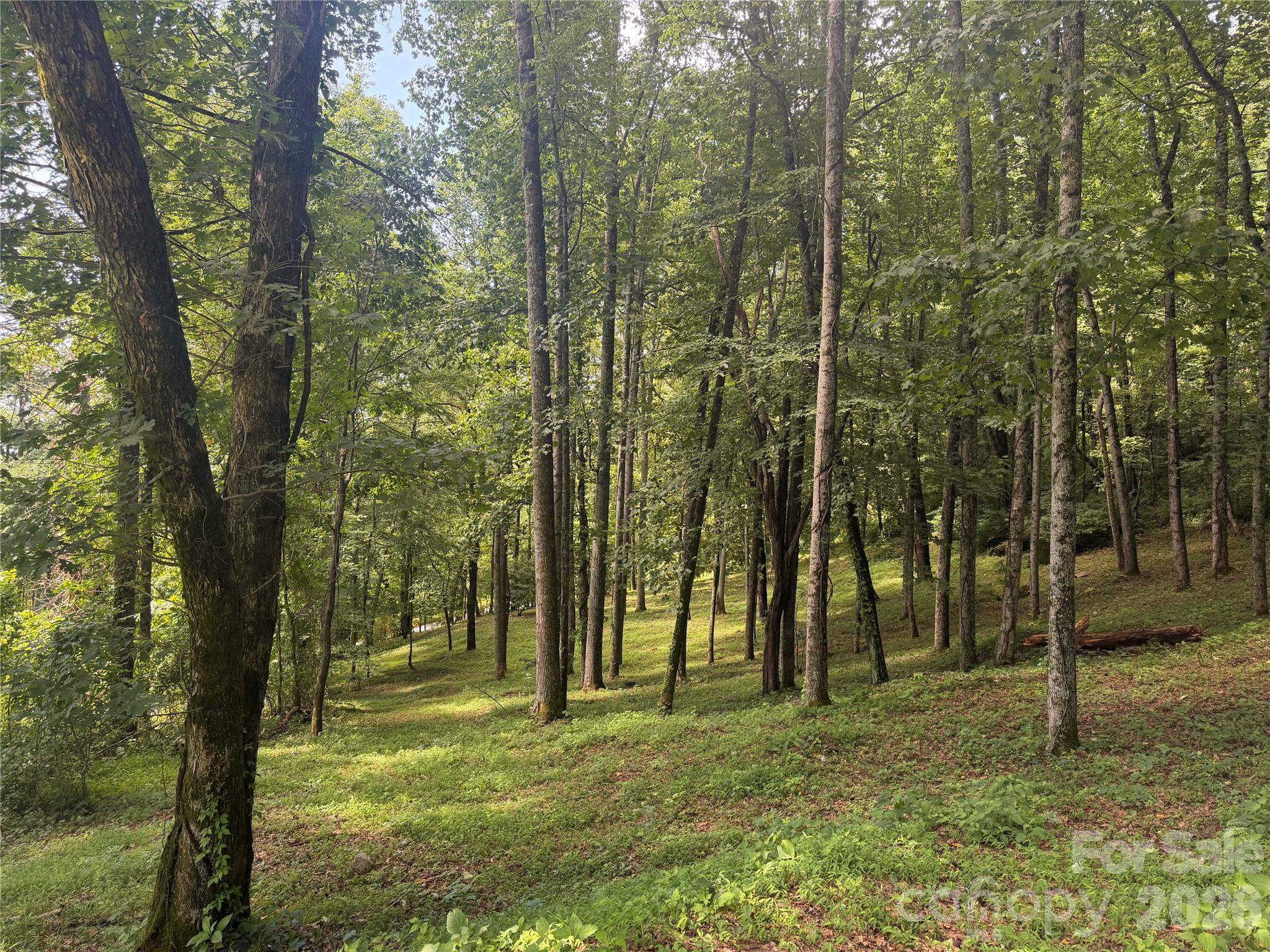 89 Split Rock Trail 56 Property Photo 1