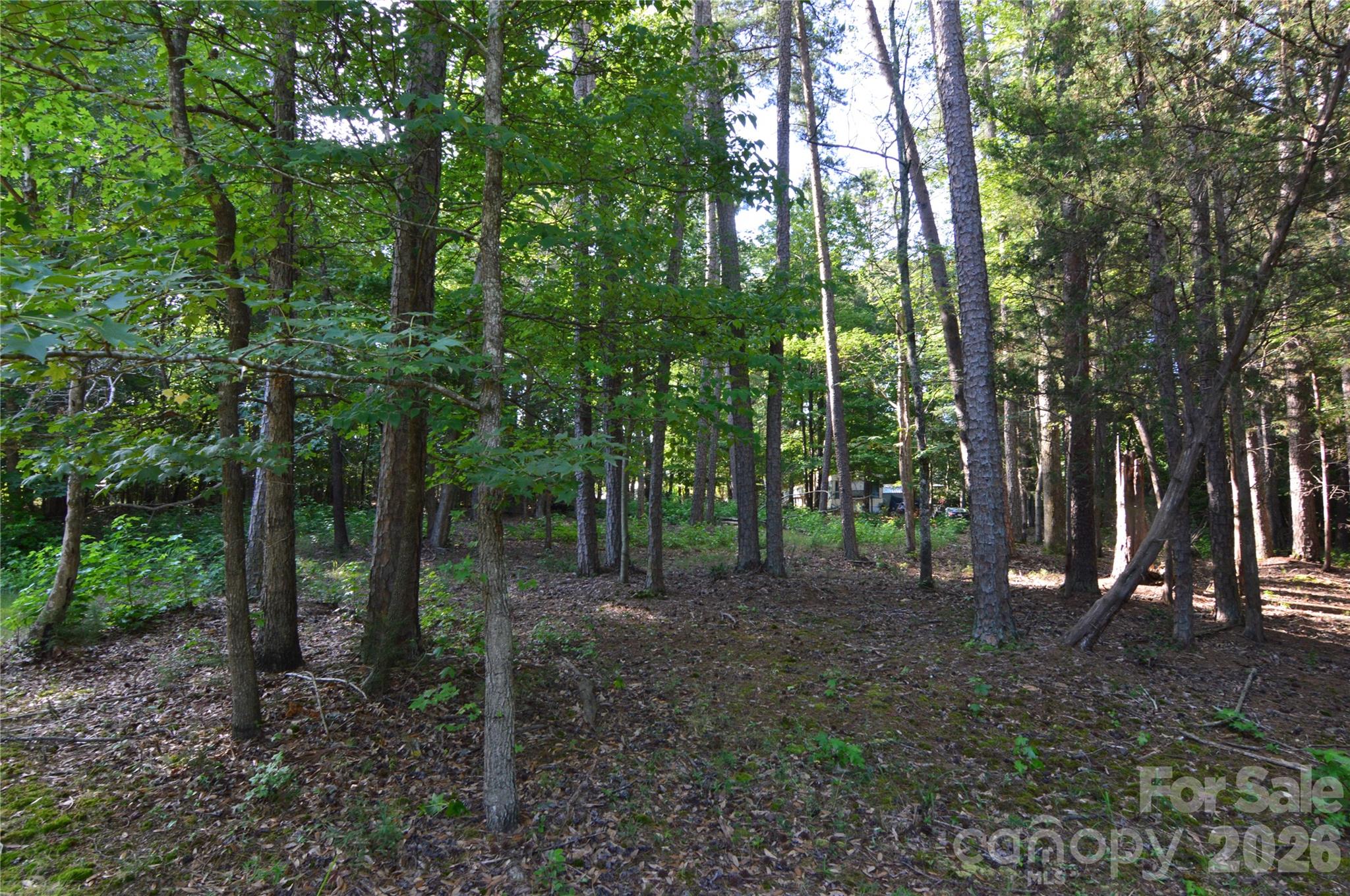 8013 Water View Drive 4 Property Photo 6