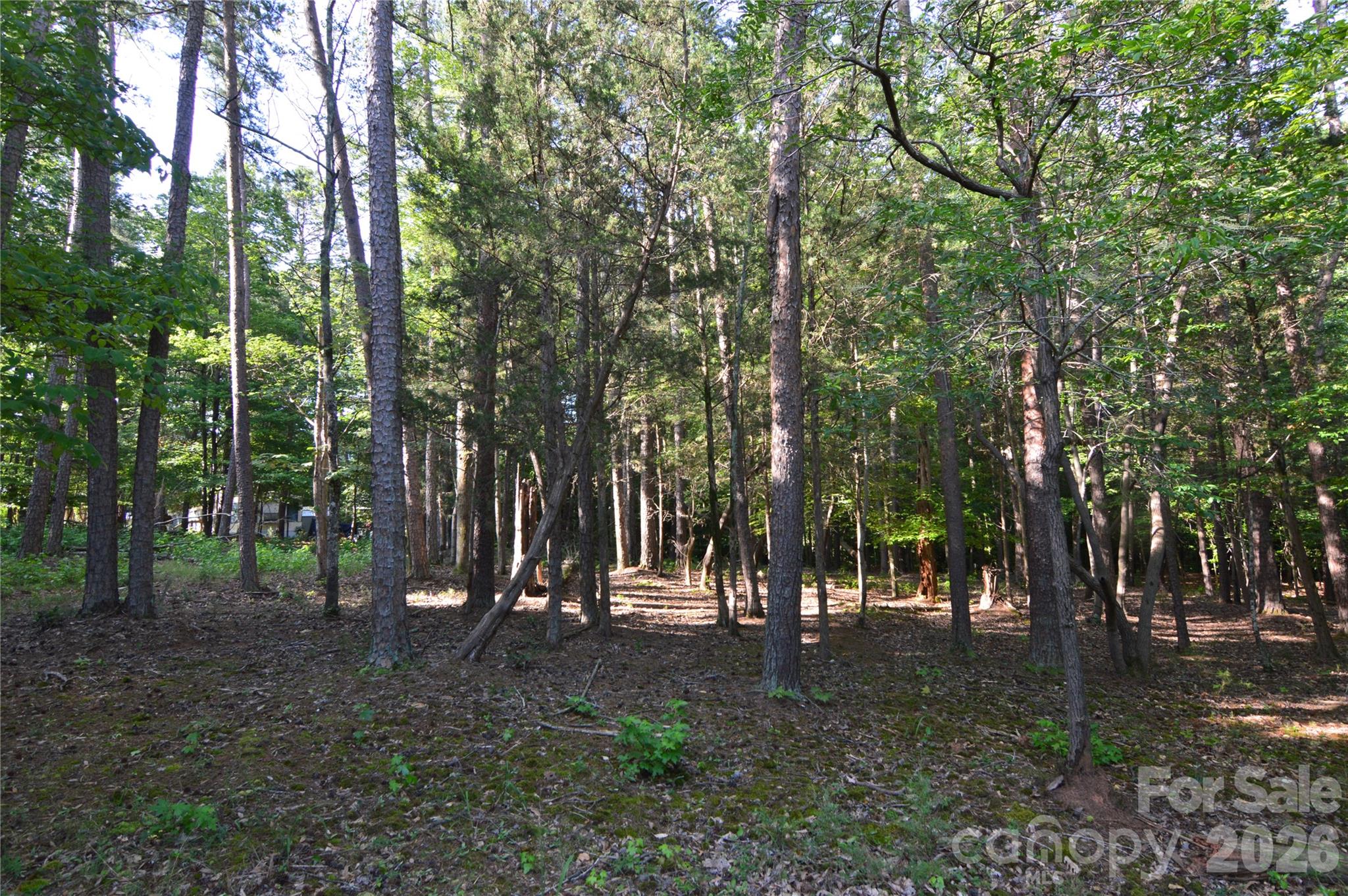 8013 Water View Drive 4 Property Photo 7