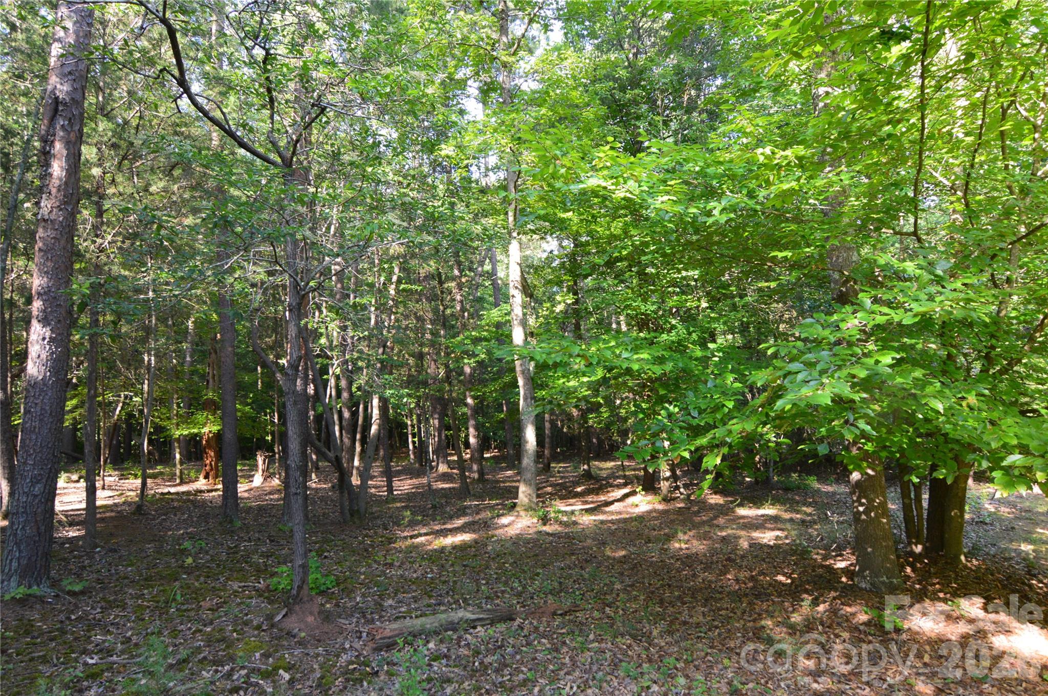 8013 Water View Drive 4 Property Photo 8